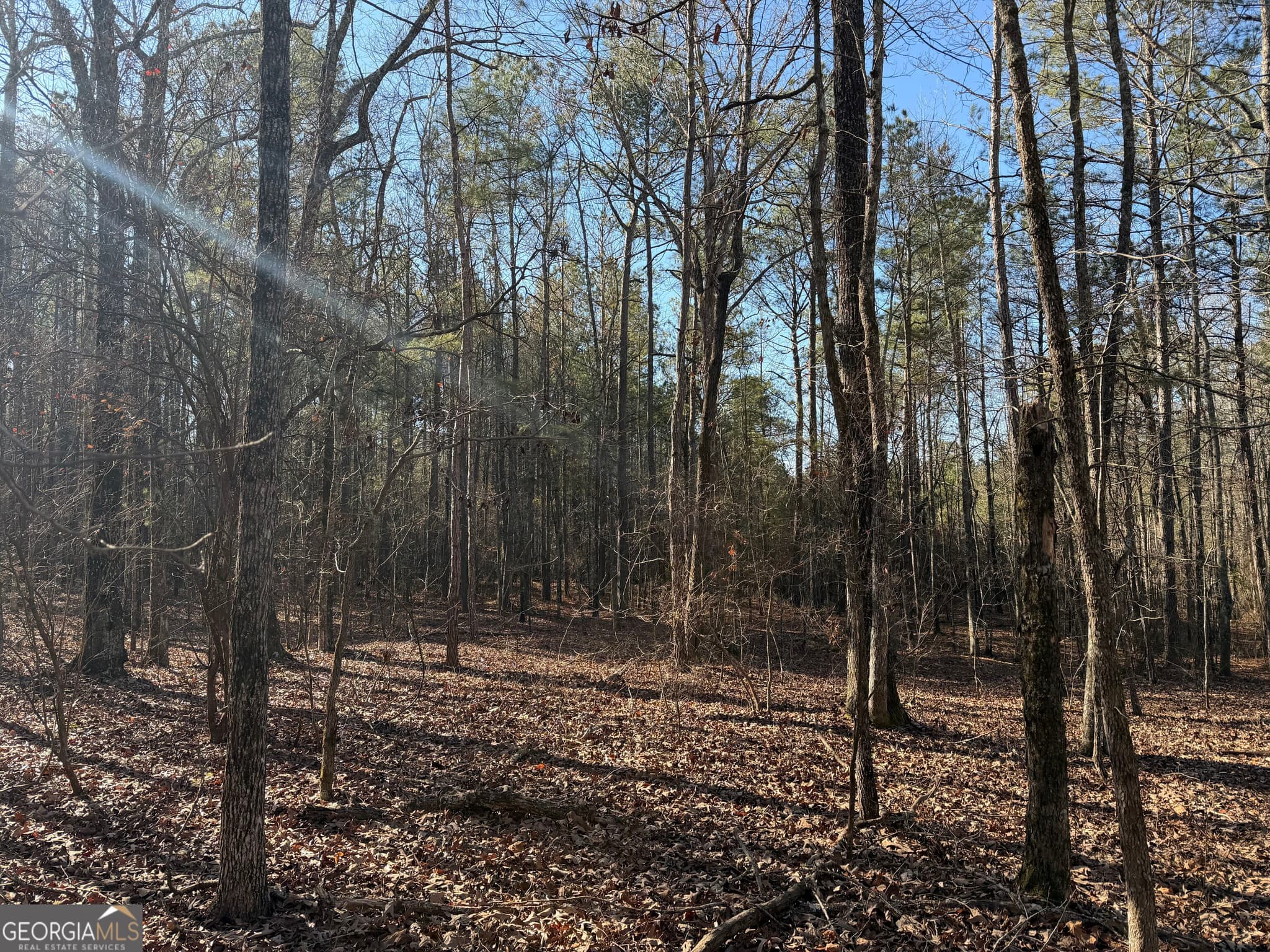 unimproved land for sale at 0 Hawk Road, Newnan, GA 30263 — photo 10