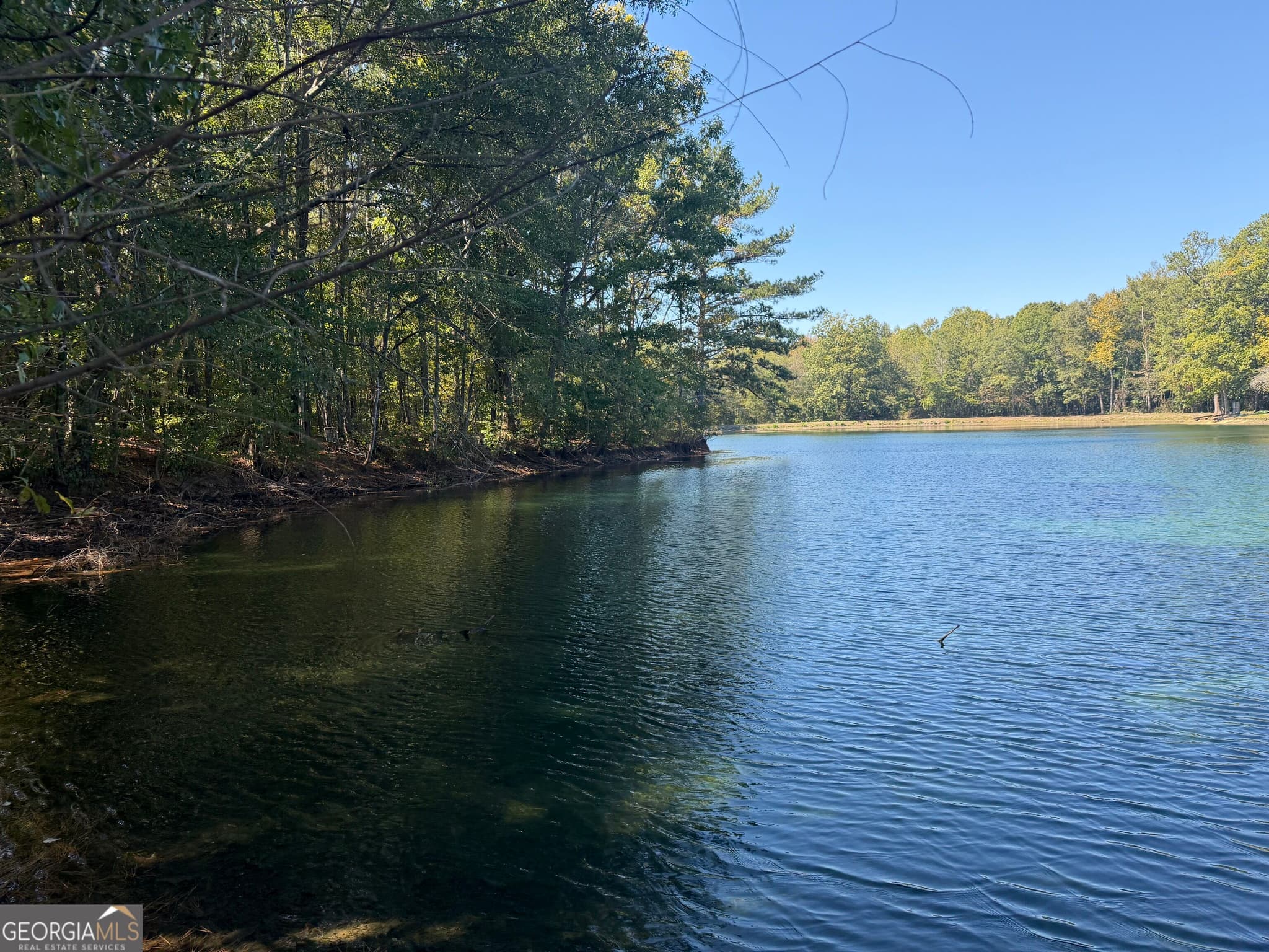 unimproved land for sale at 0 Hawk Road, Newnan, GA 30263 — photo 4