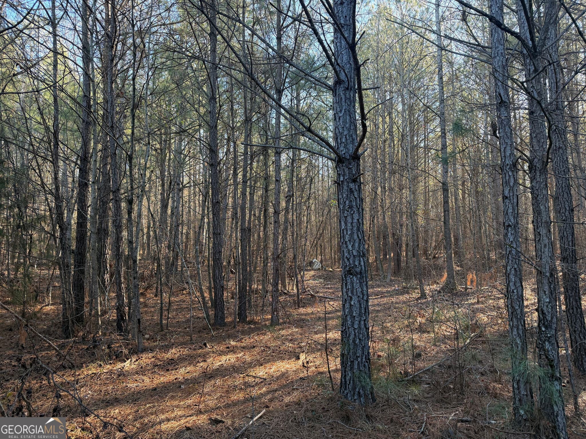 unimproved land for sale at 0 Hawk Road, Newnan, GA 30263 — photo 8