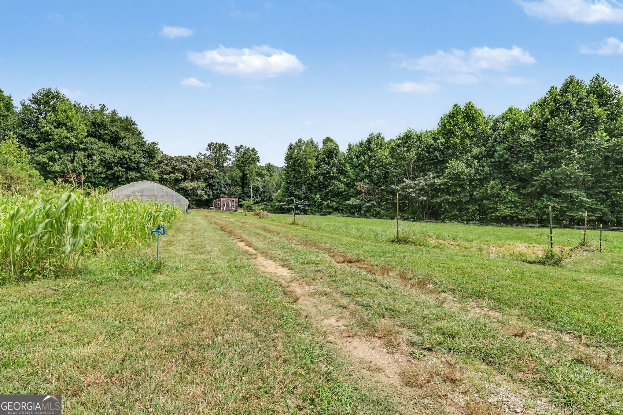 agriculture for sale at 2.10 ACRES Coleman River Road, Clayton, GA 30525 — photo 5