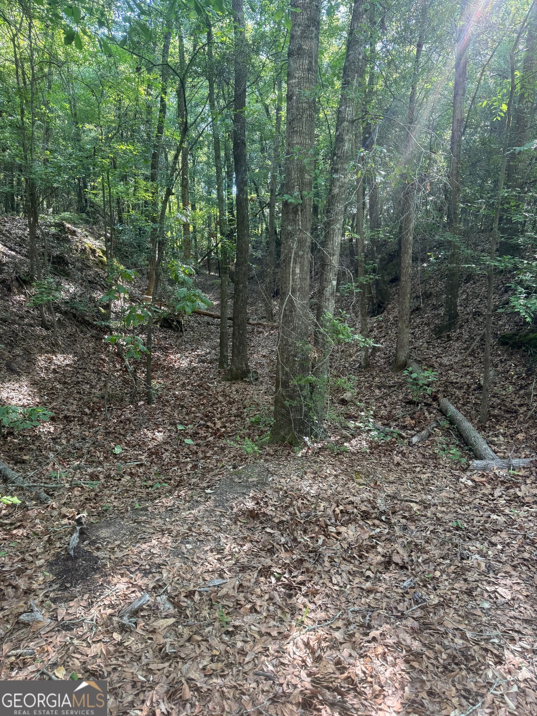 agriculture for sale at 0 Thomas Street, Montezuma, GA 31063 — photo 2