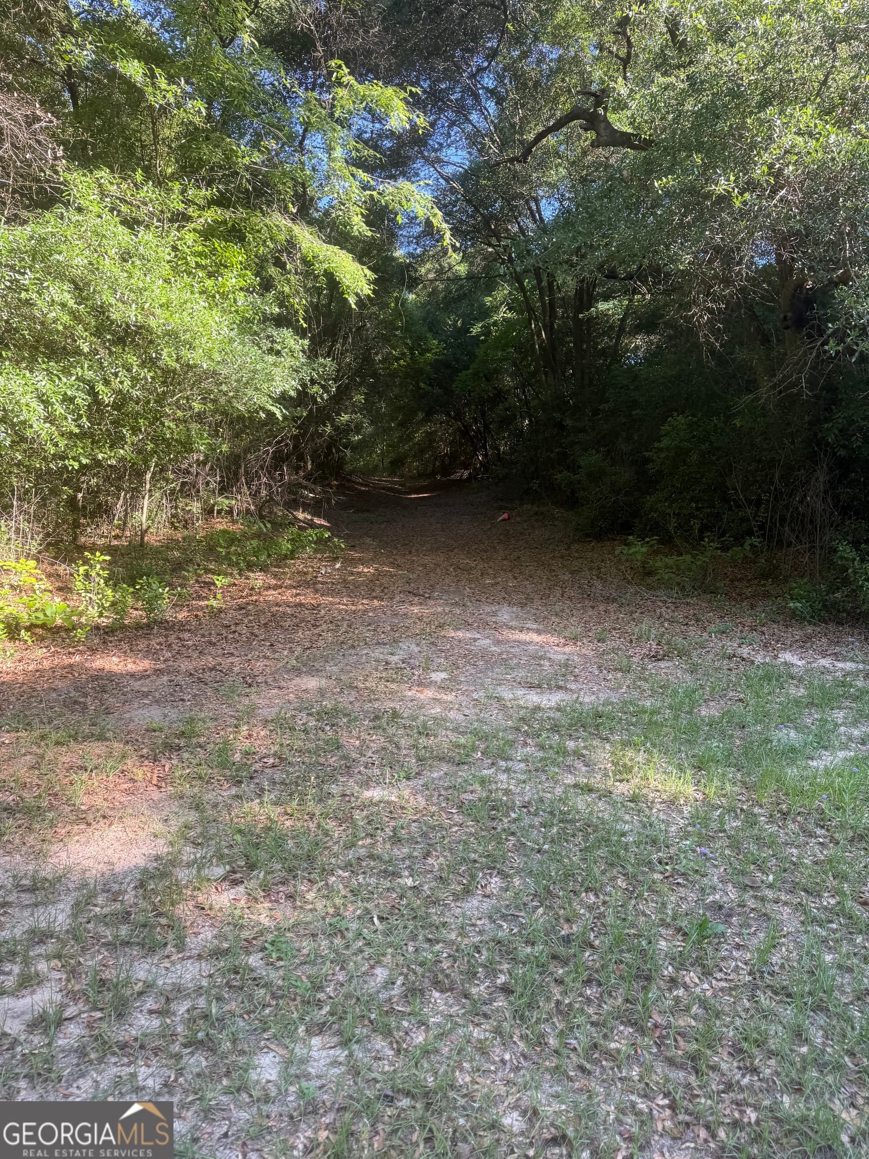 agriculture for sale at 0 Thomas Street, Montezuma, GA 31063 — photo 6