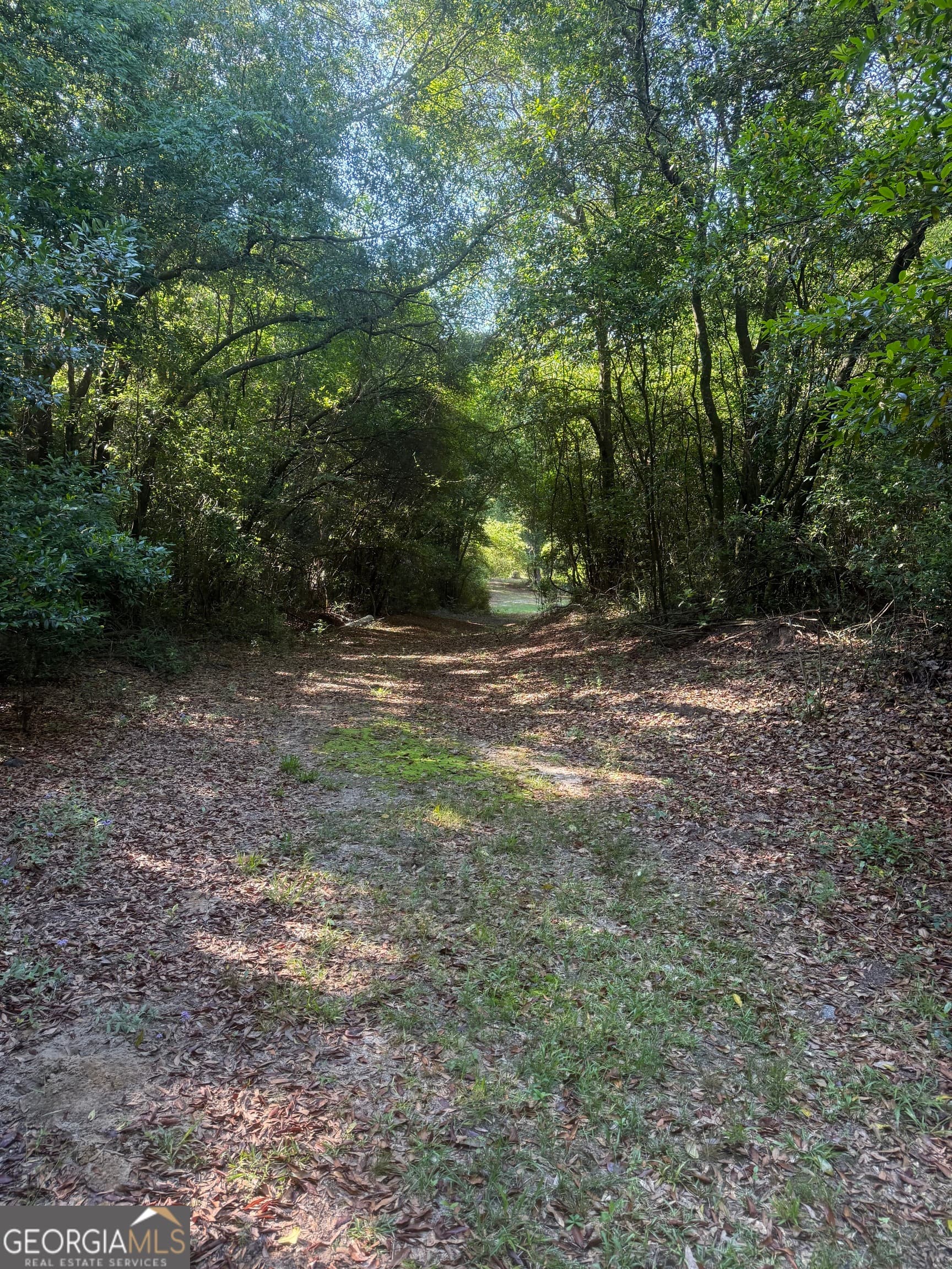 agriculture for sale at 0 Thomas Street, Montezuma, GA 31063 — photo 7