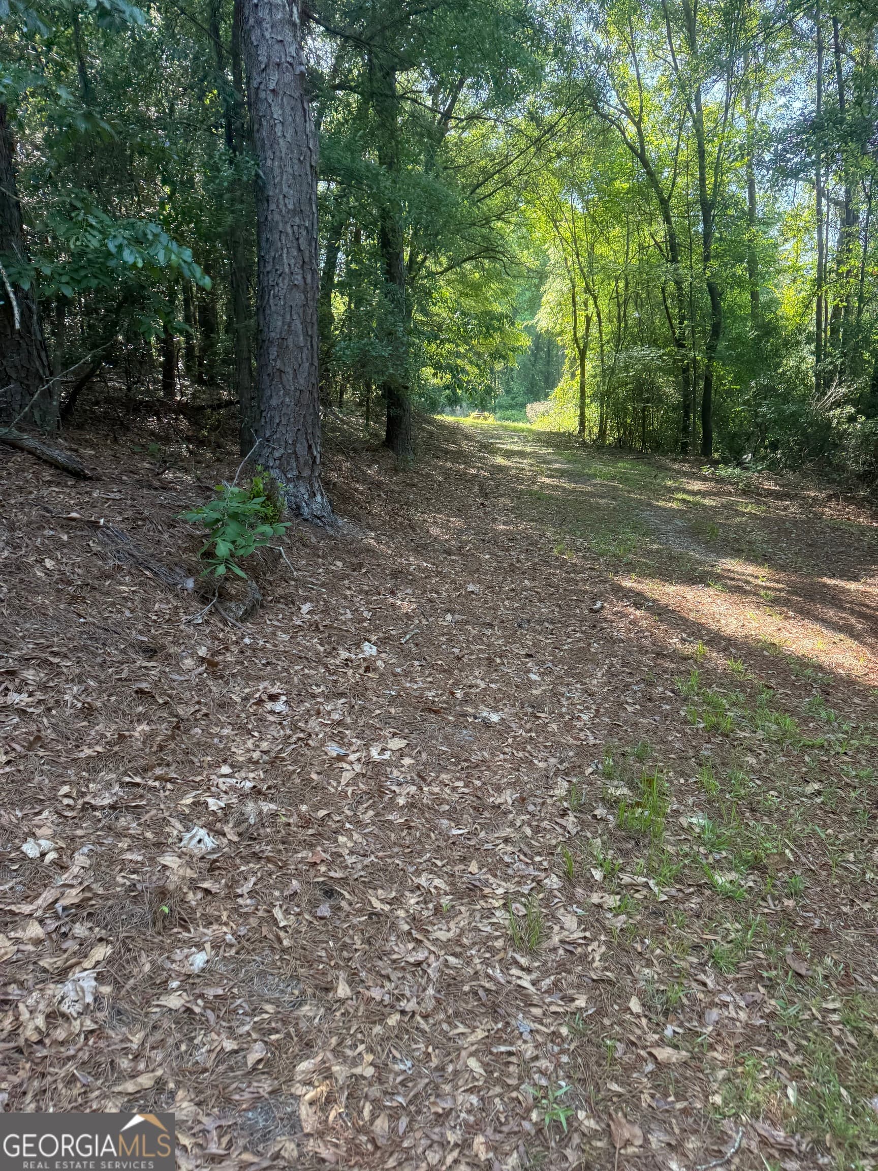 agriculture for sale at 0 Thomas Street, Montezuma, GA 31063 — photo 3