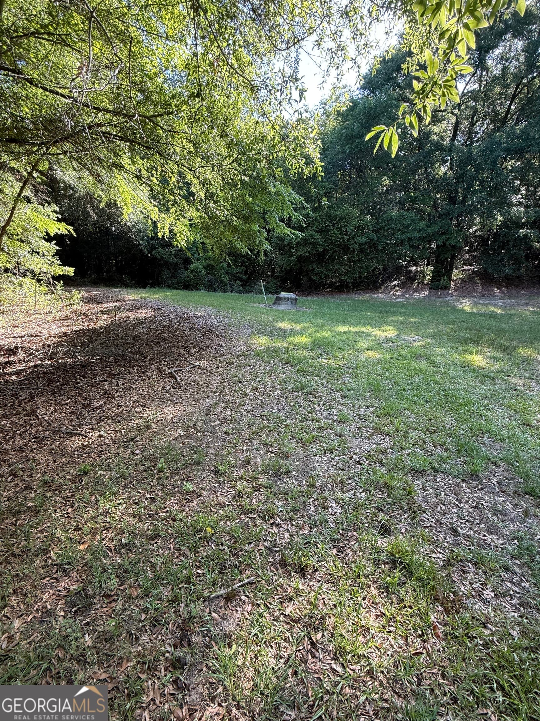 agriculture for sale at 0 Thomas Street, Montezuma, GA 31063 — photo 5