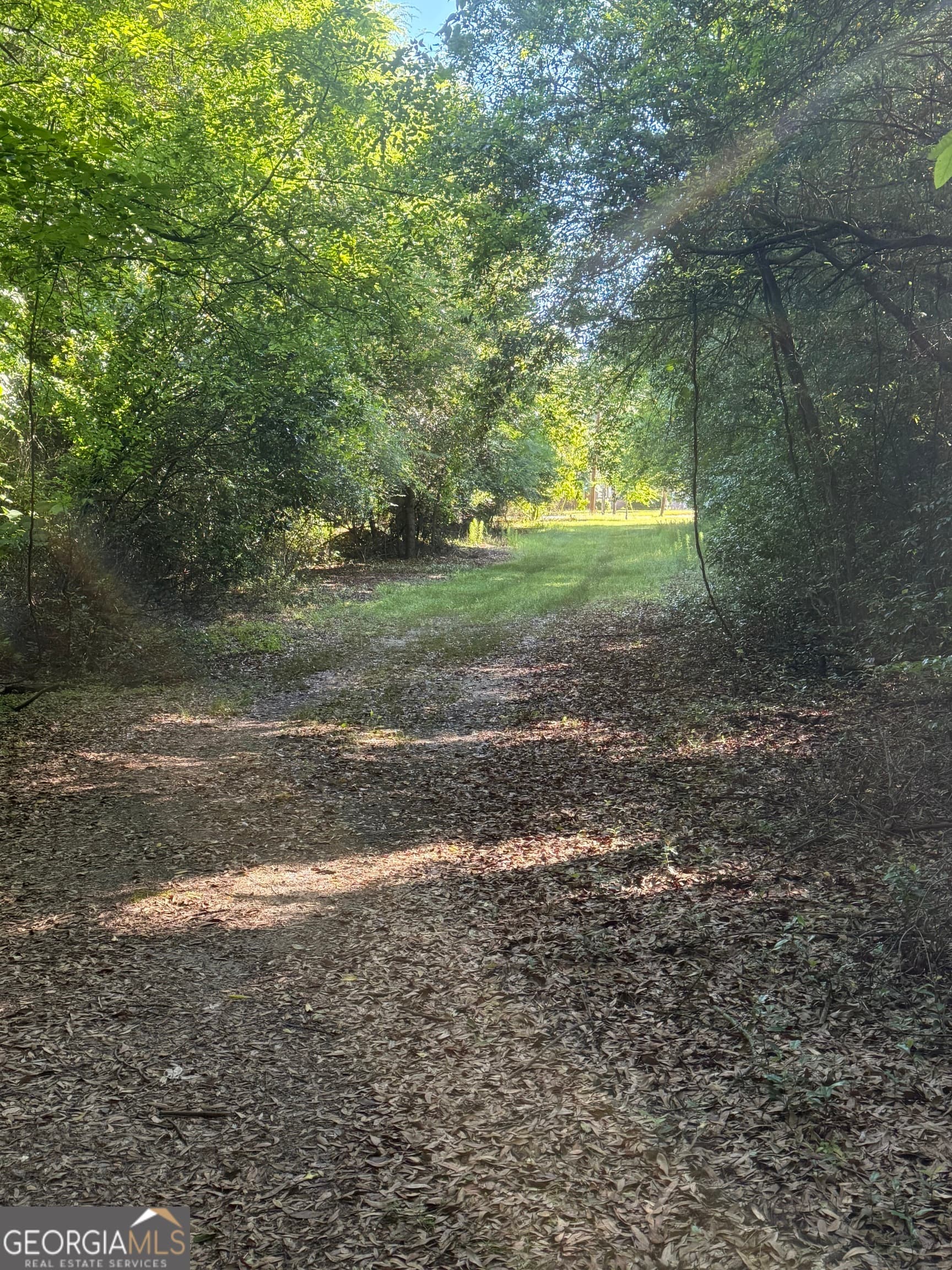 agriculture for sale at 0 Thomas Street, Montezuma, GA 31063 — photo 9