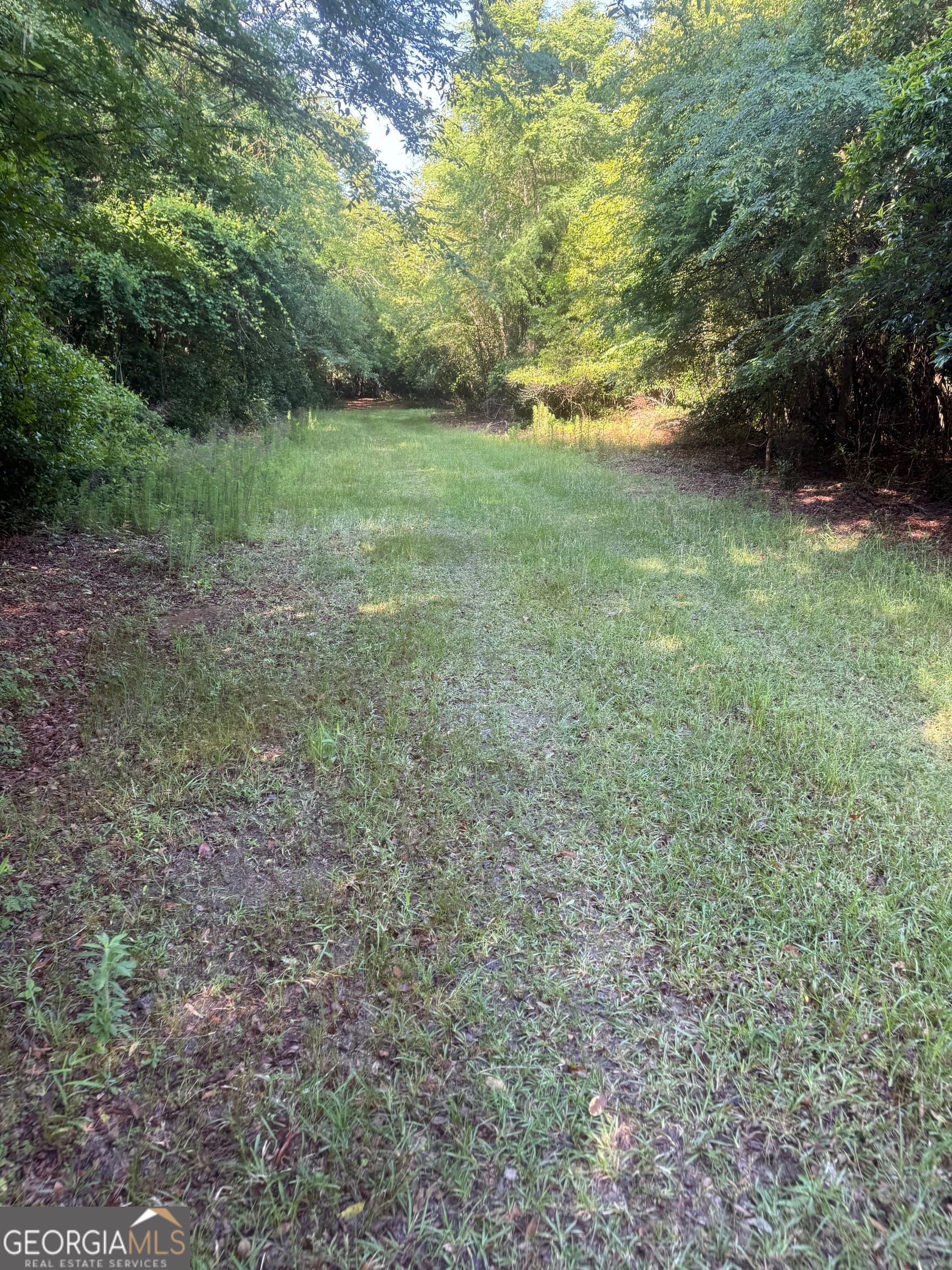 agriculture for sale at 0 Thomas Street, Montezuma, GA 31063 — photo 10