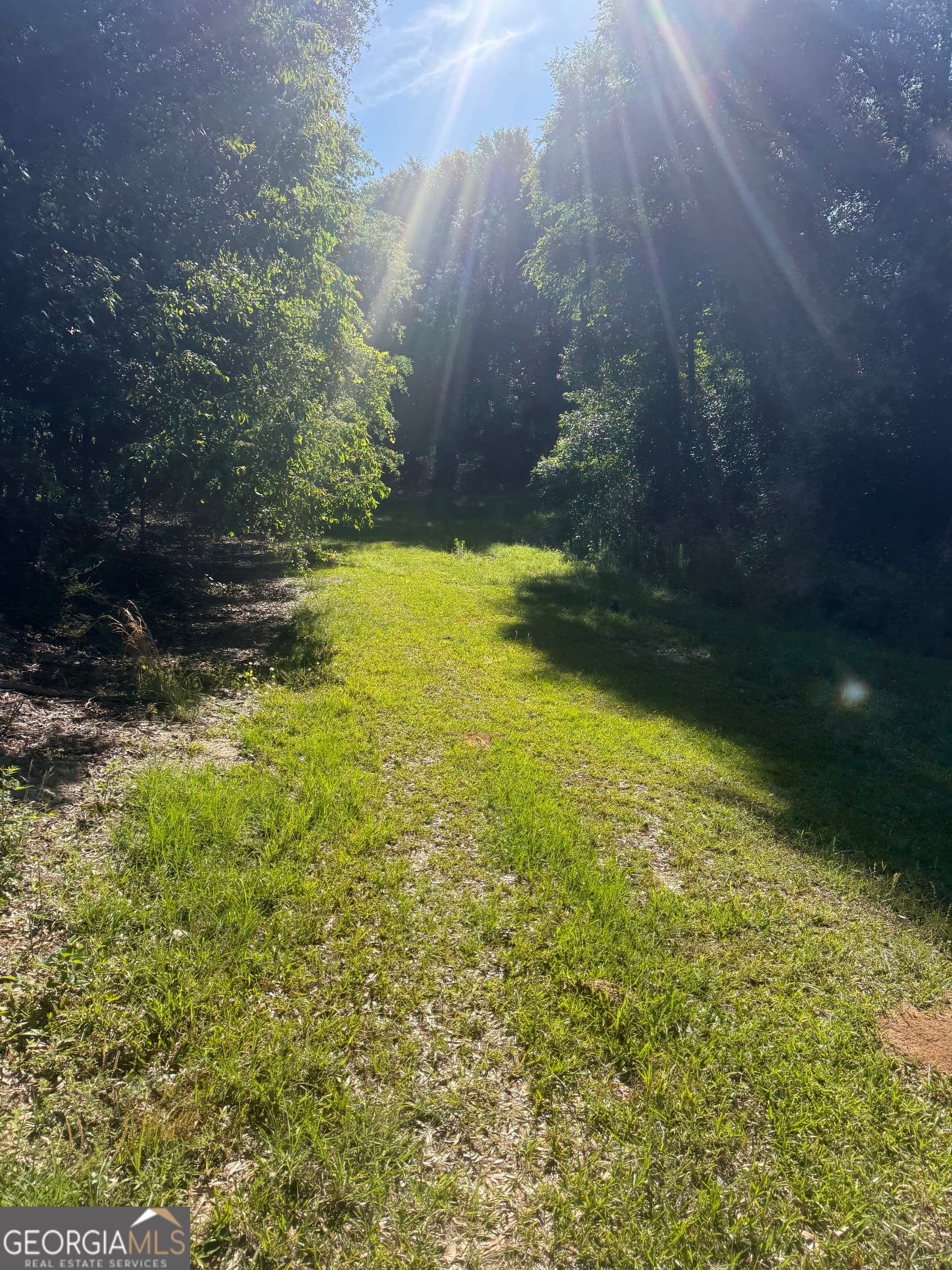 agriculture for sale at 0 Thomas Street, Montezuma, GA 31063 — photo 4