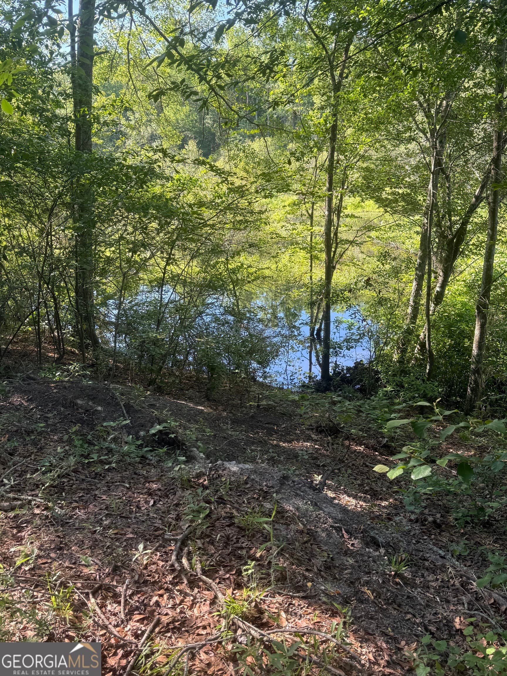 agriculture for sale at 0 Thomas Street, Montezuma, GA 31063 — photo 8