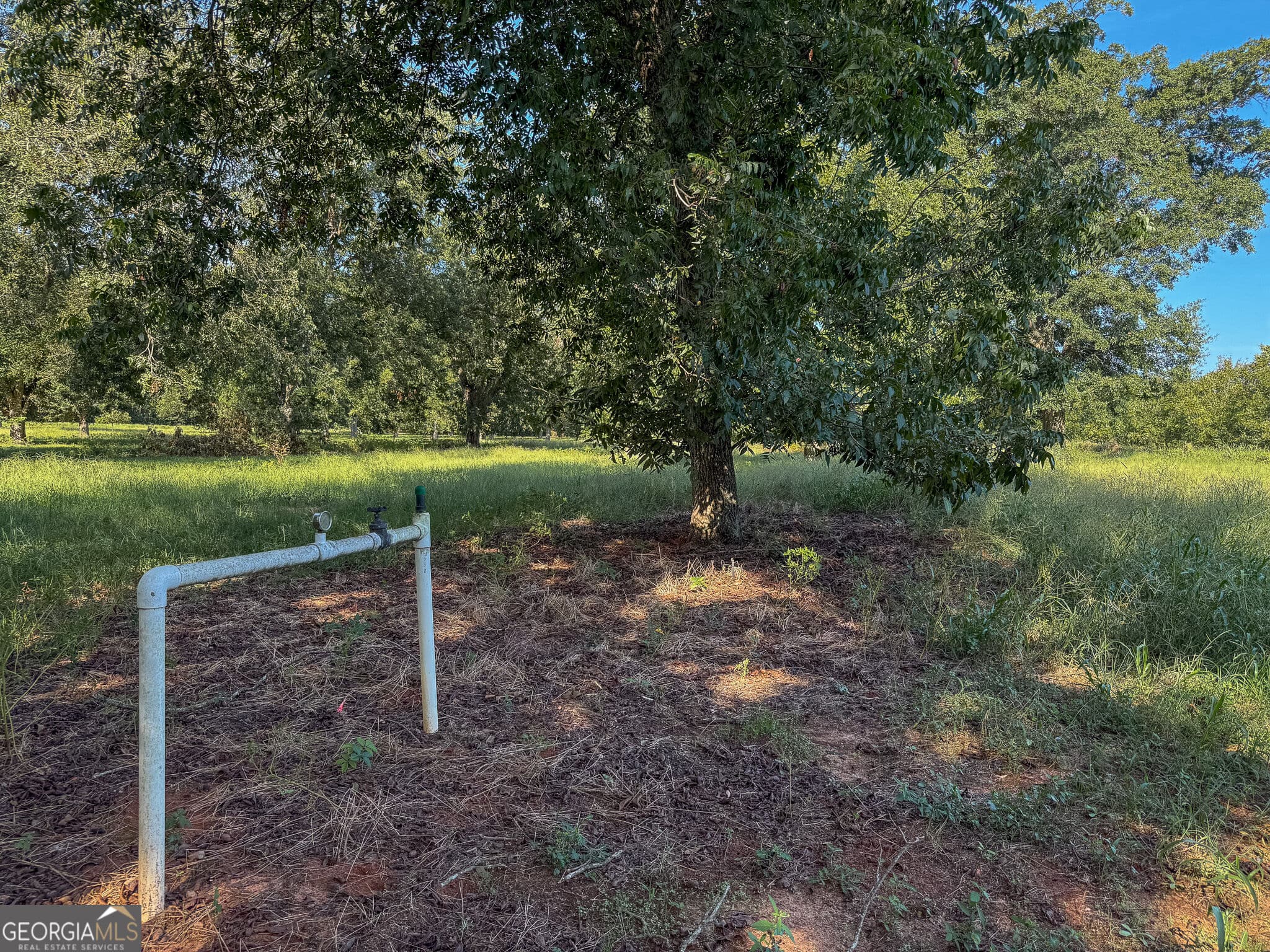 agriculture for sale at 412 Old Plains Road, Plains, GA 31780 — photo 7