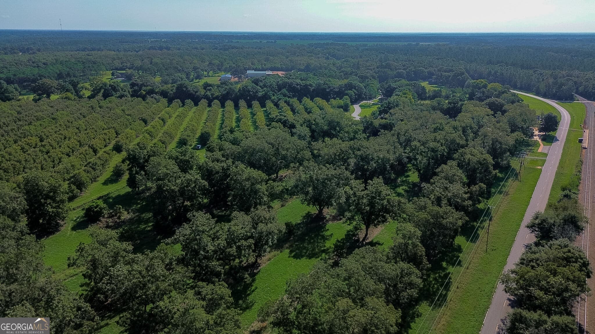 agriculture for sale at 412 Old Plains Road, Plains, GA 31780 — photo 3