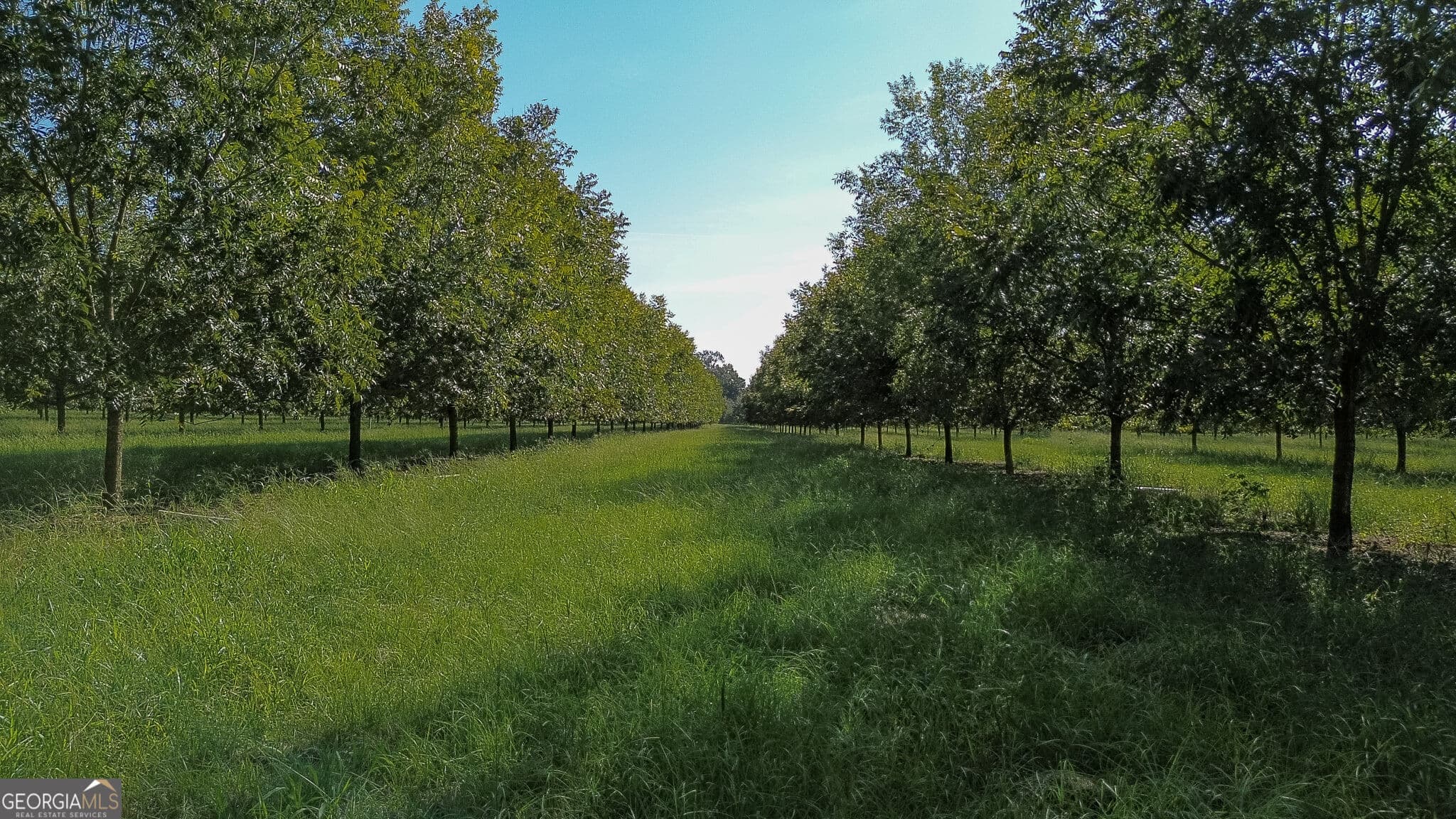 agriculture for sale at 412 Old Plains Road, Plains, GA 31780