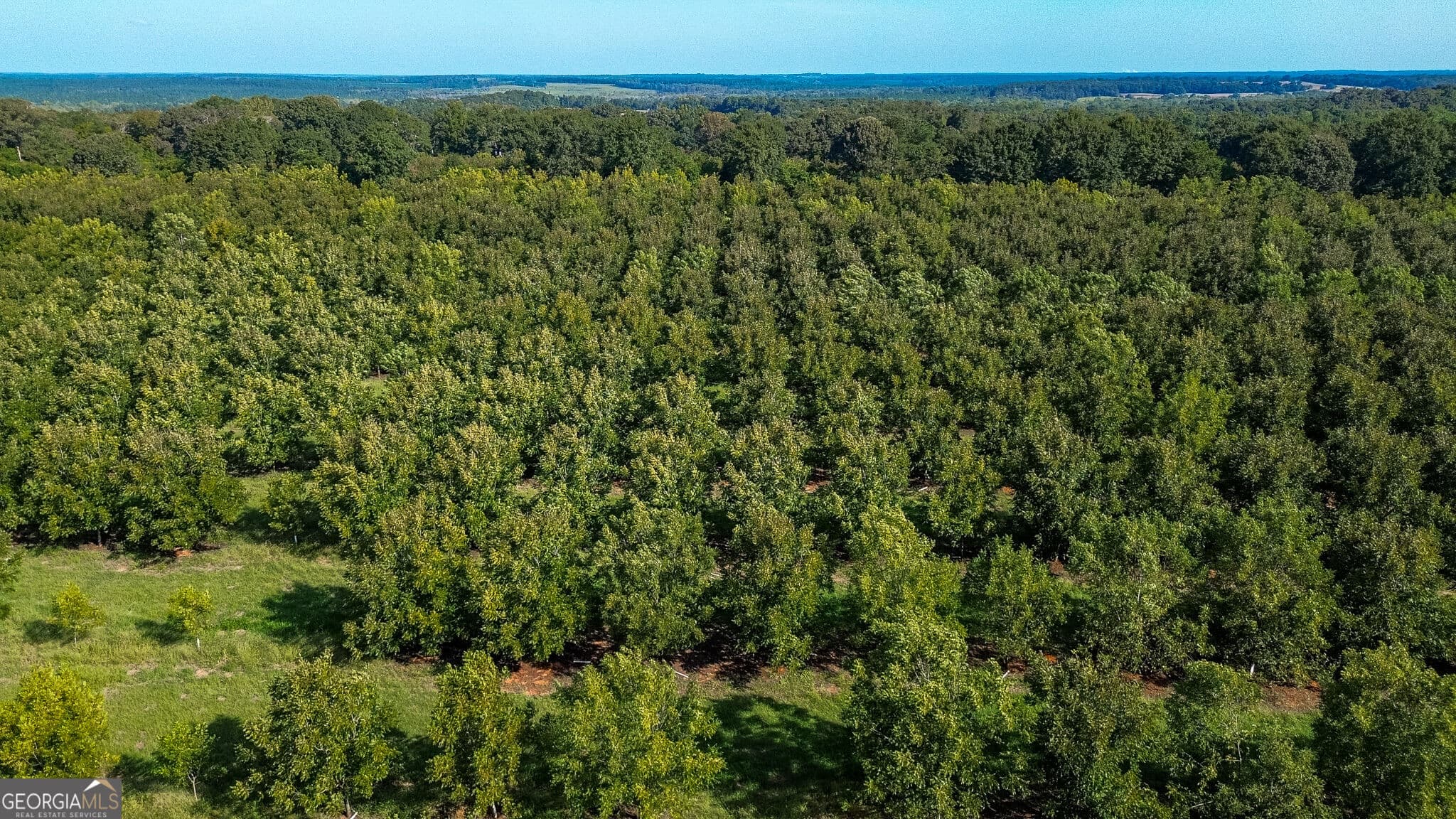 agriculture for sale at 412 Old Plains Road, Plains, GA 31780 — photo 9