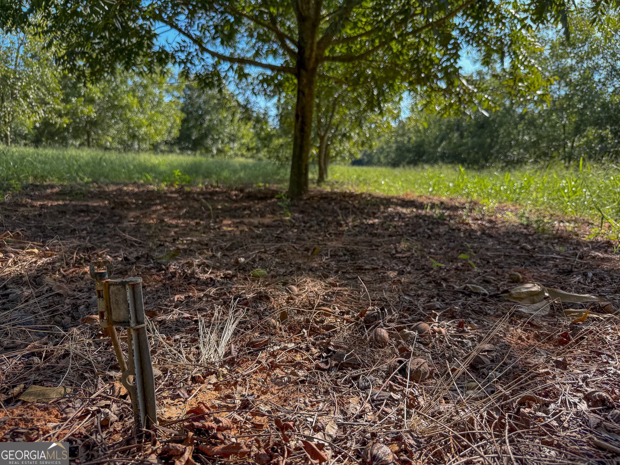 agriculture for sale at 412 Old Plains Road, Plains, GA 31780 — photo 4
