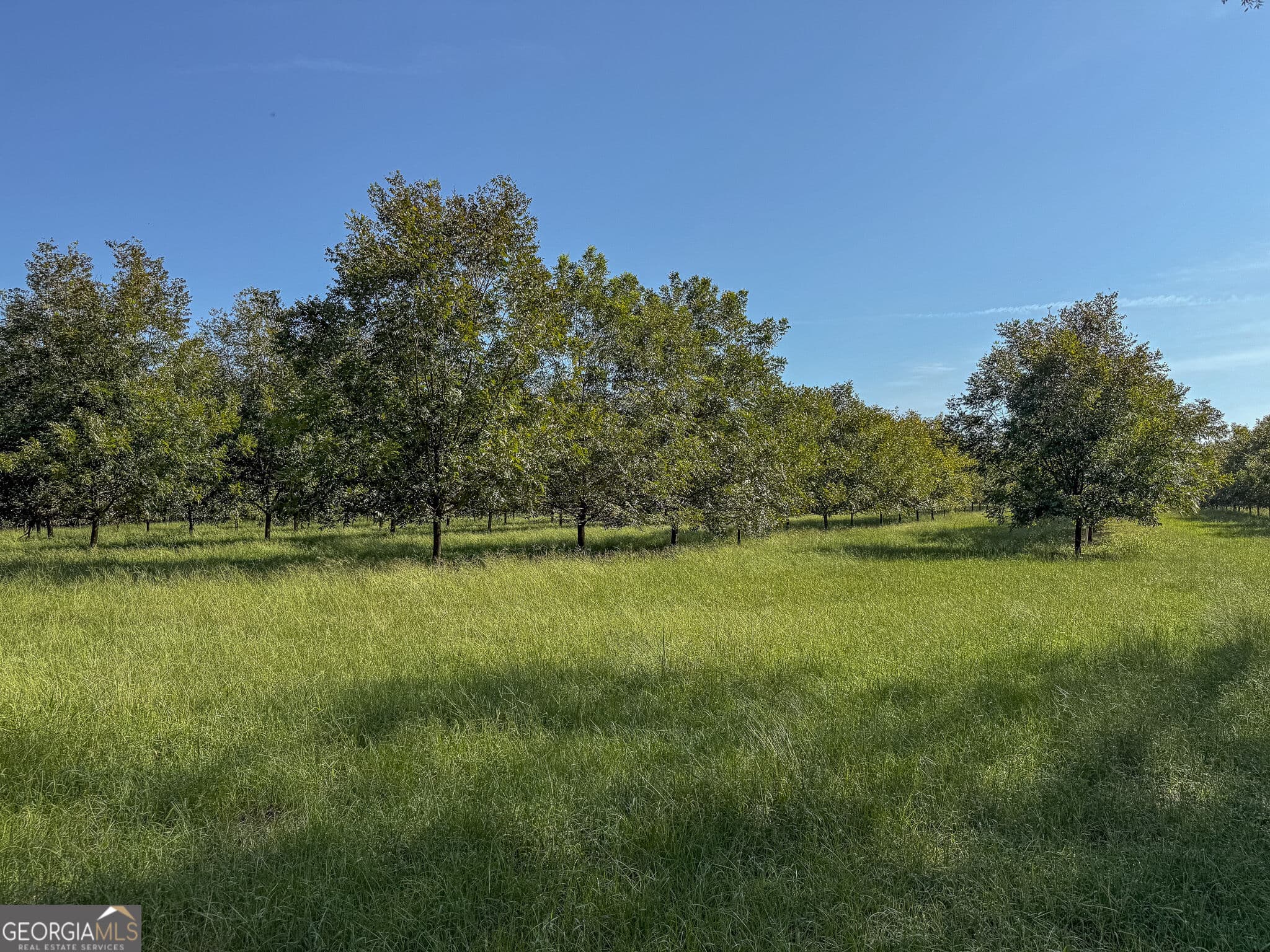 agriculture for sale at 412 Old Plains Road, Plains, GA 31780 — photo 8