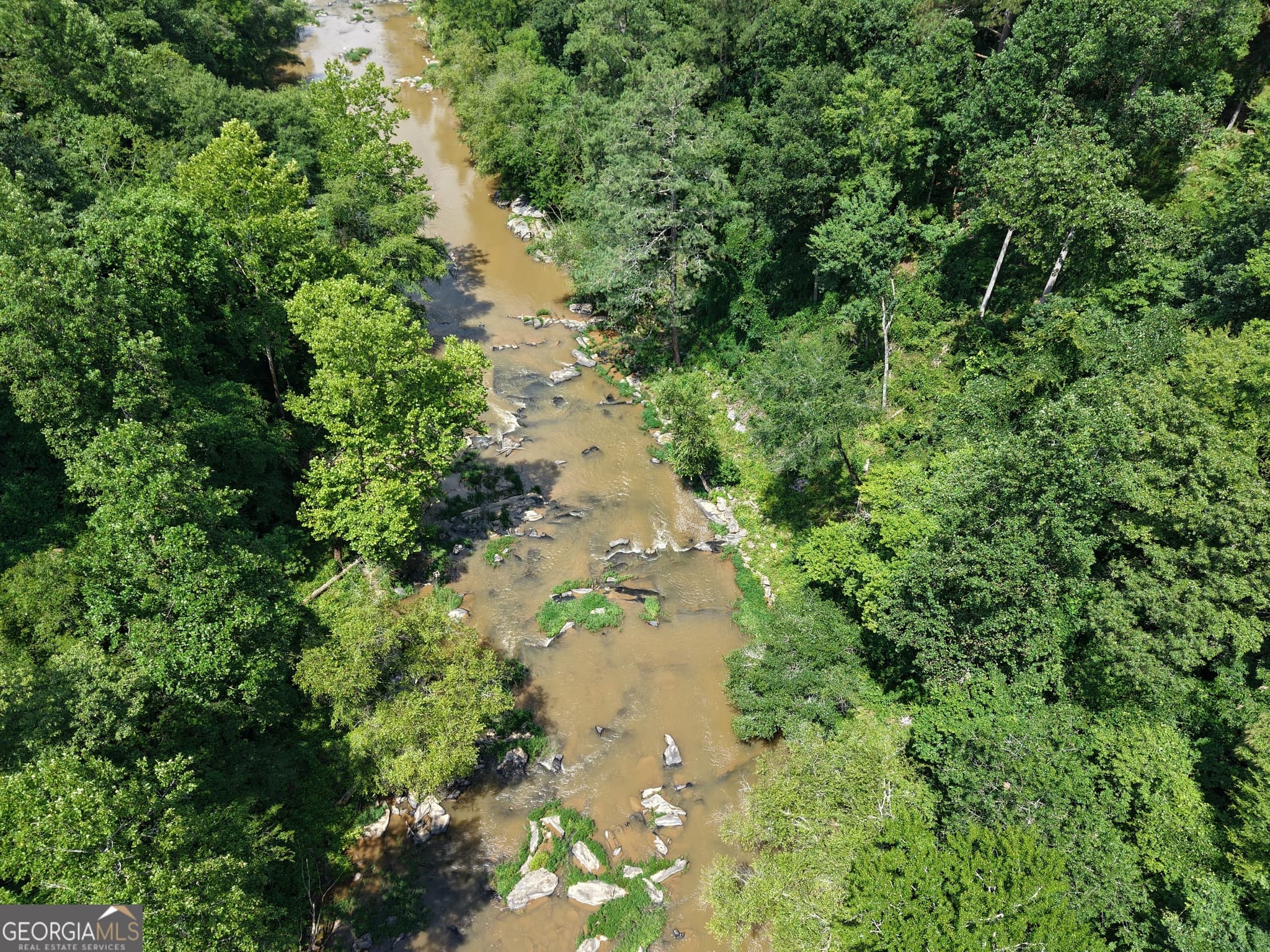 estate lot for sale at 297 Pebble Trace, Talking Rock, GA 30175 — photo 6