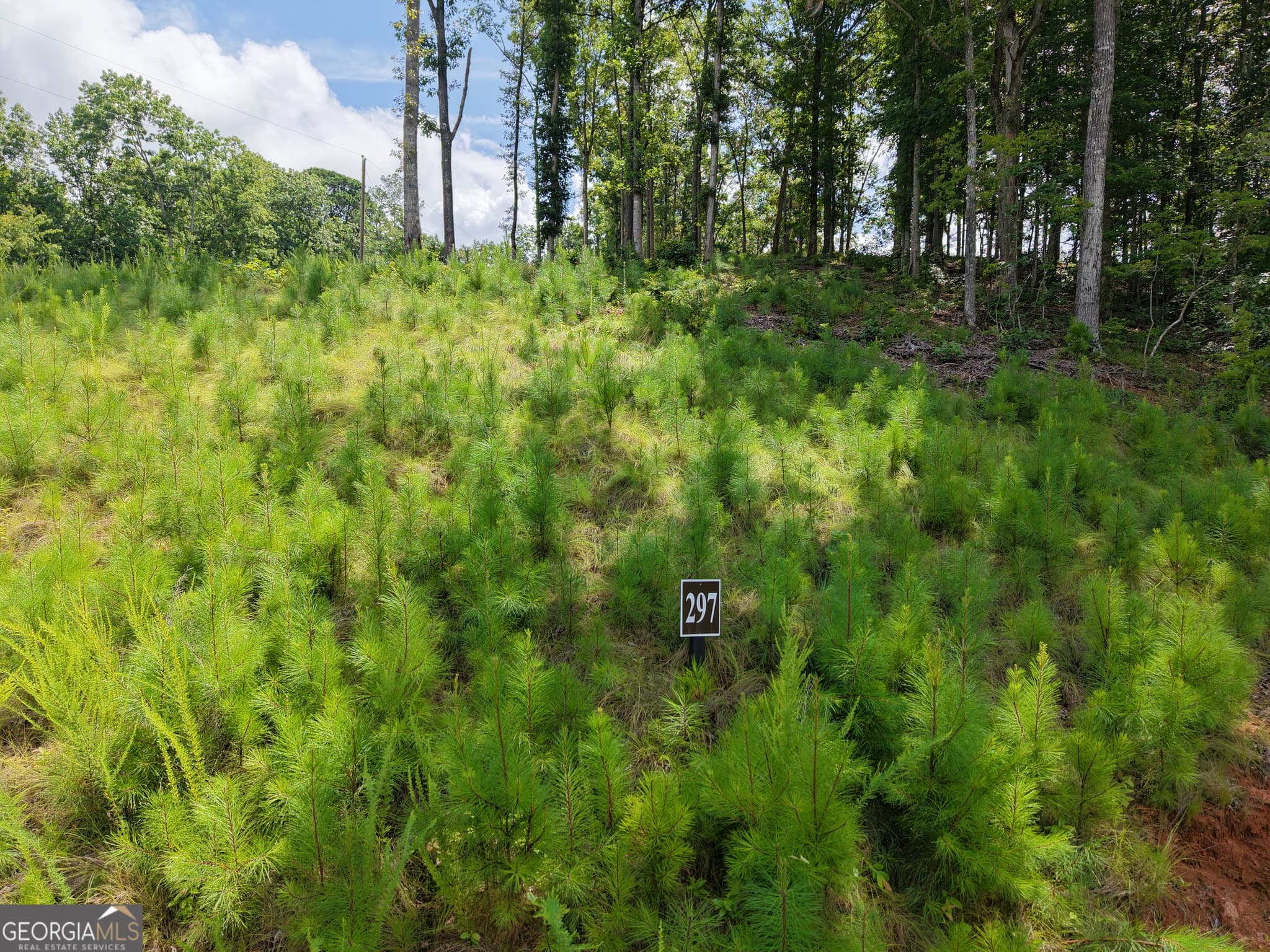 estate lot for sale at 297 Pebble Trace, Talking Rock, GA 30175 — photo 7