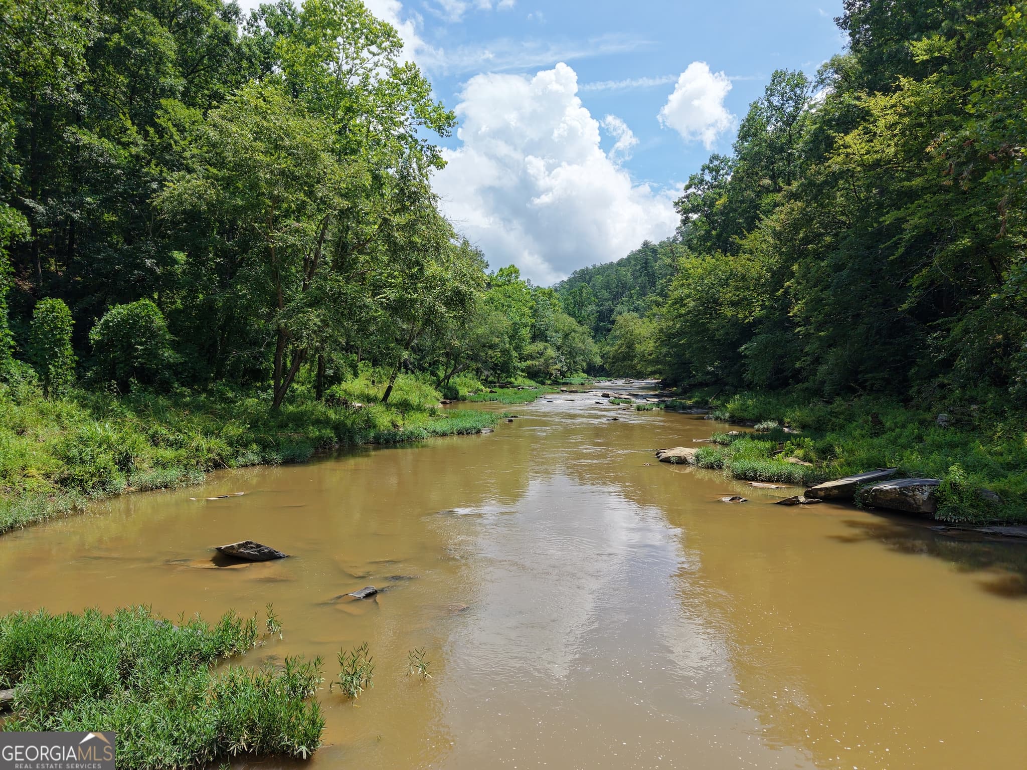 estate lot for sale at 297 Pebble Trace, Talking Rock, GA 30175 — photo 3