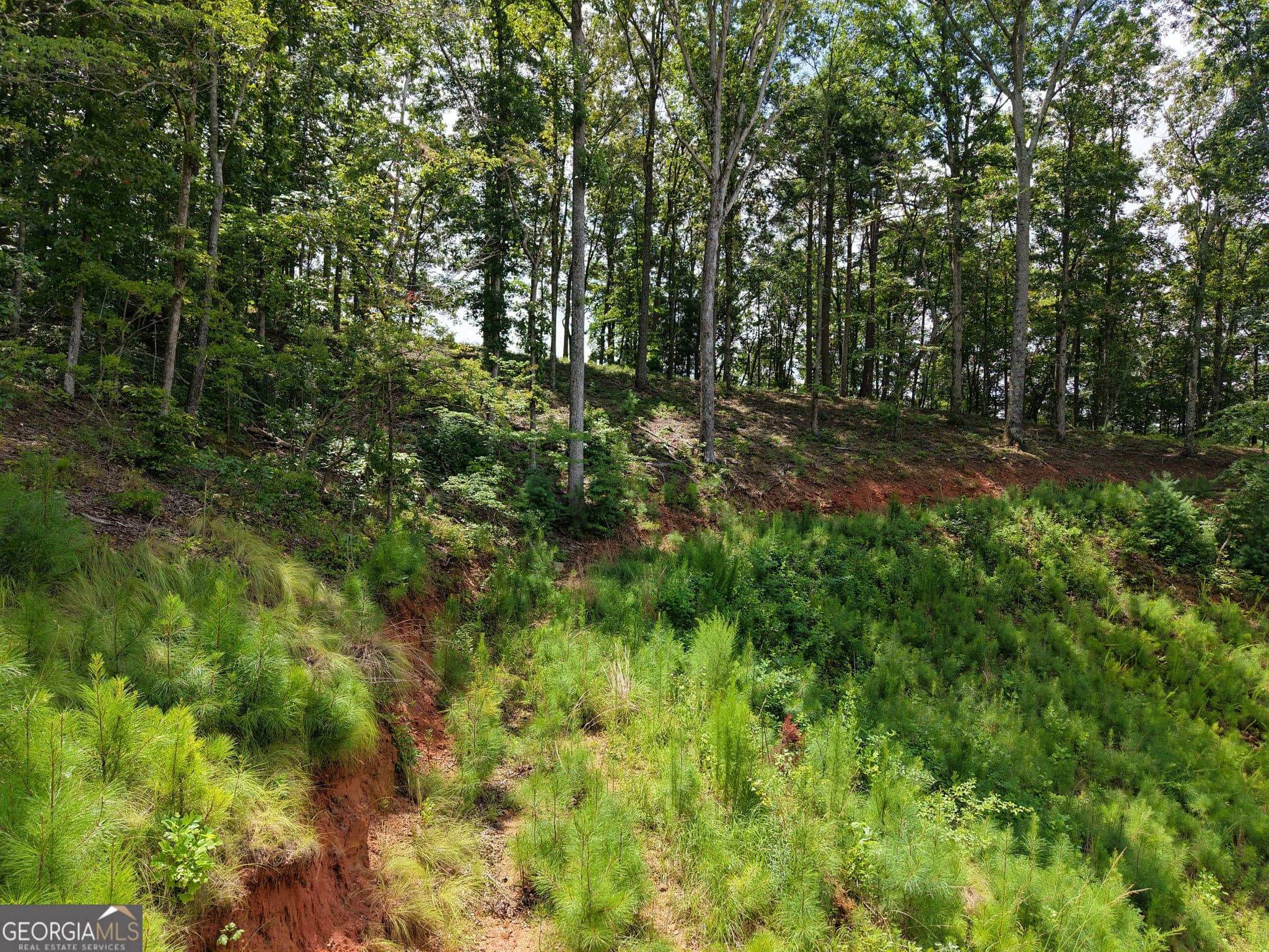 estate lot for sale at 297 Pebble Trace, Talking Rock, GA 30175 — photo 9