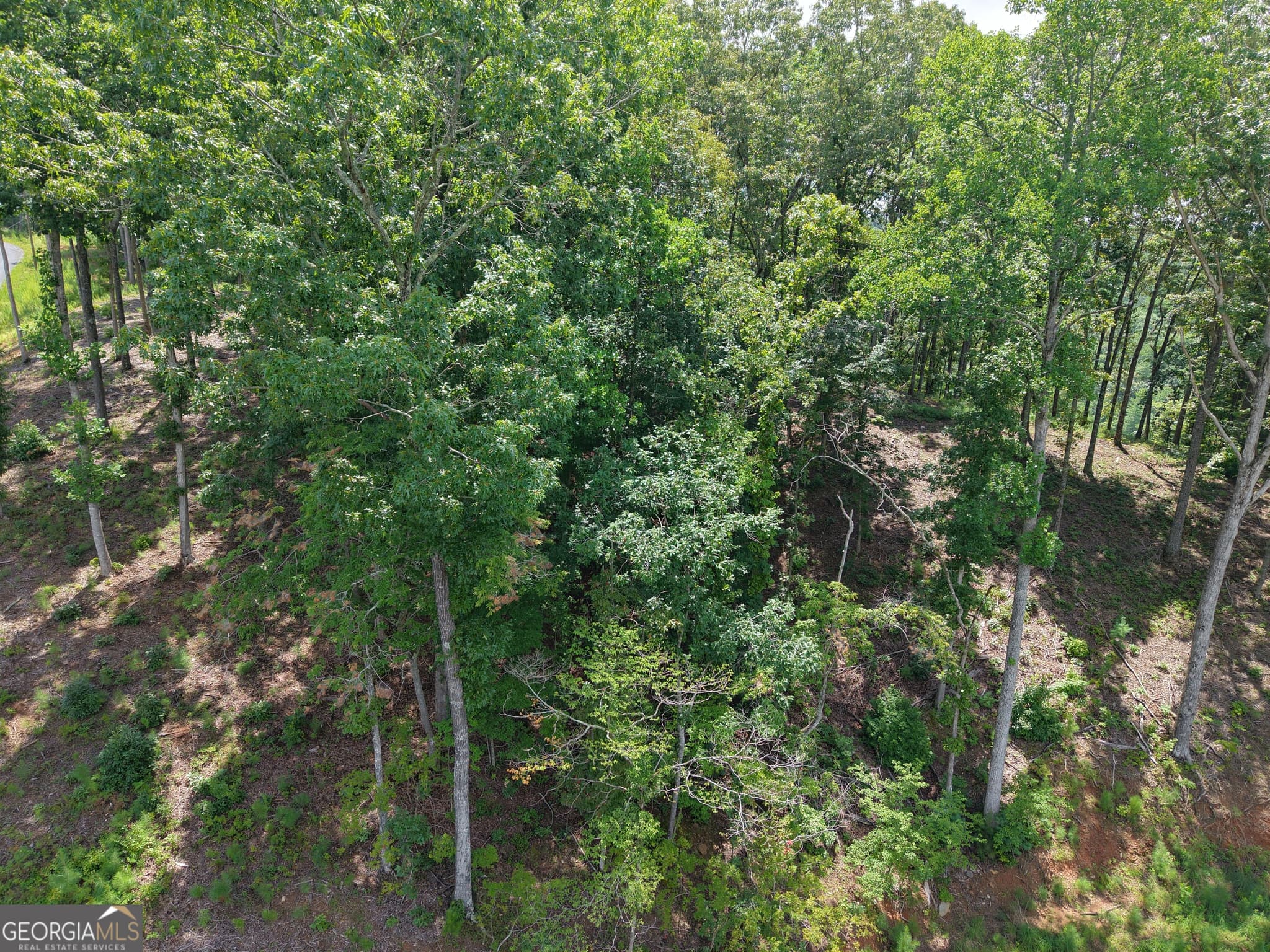 estate lot for sale at 297 Pebble Trace, Talking Rock, GA 30175 — photo 10