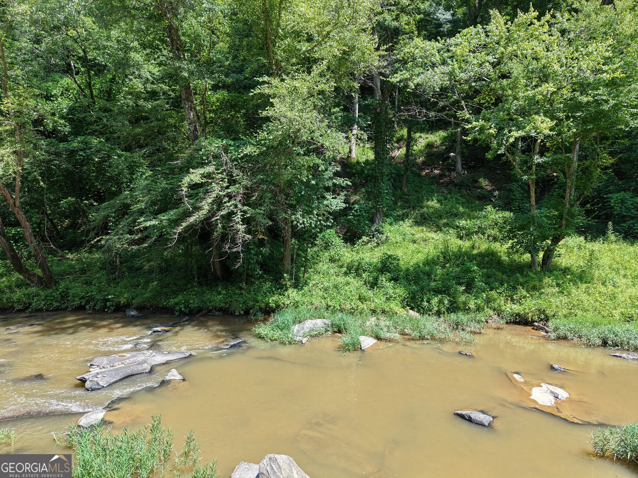 estate lot for sale at 297 Pebble Trace, Talking Rock, GA 30175 — photo 4
