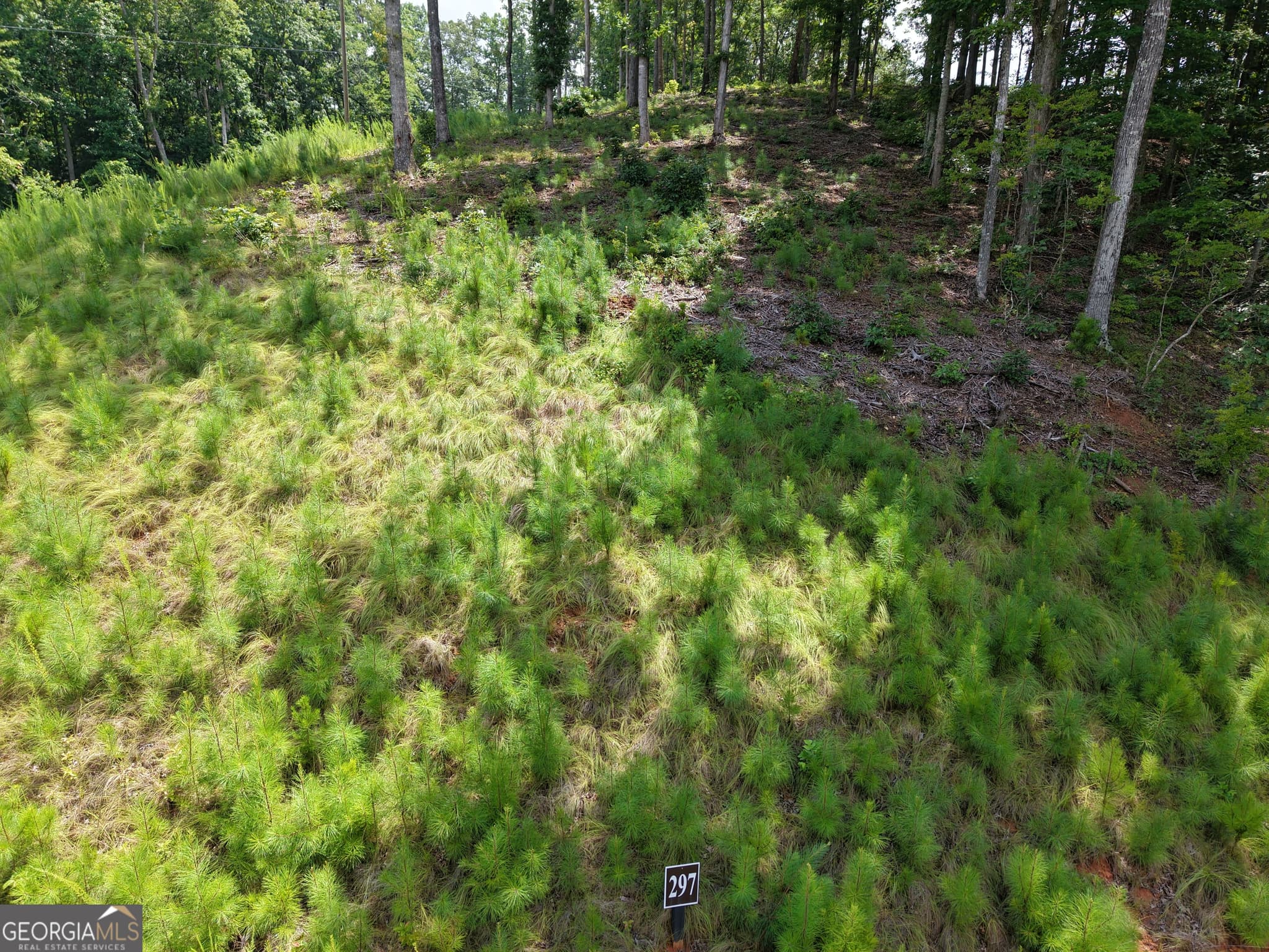 estate lot for sale at 297 Pebble Trace, Talking Rock, GA 30175 — photo 8