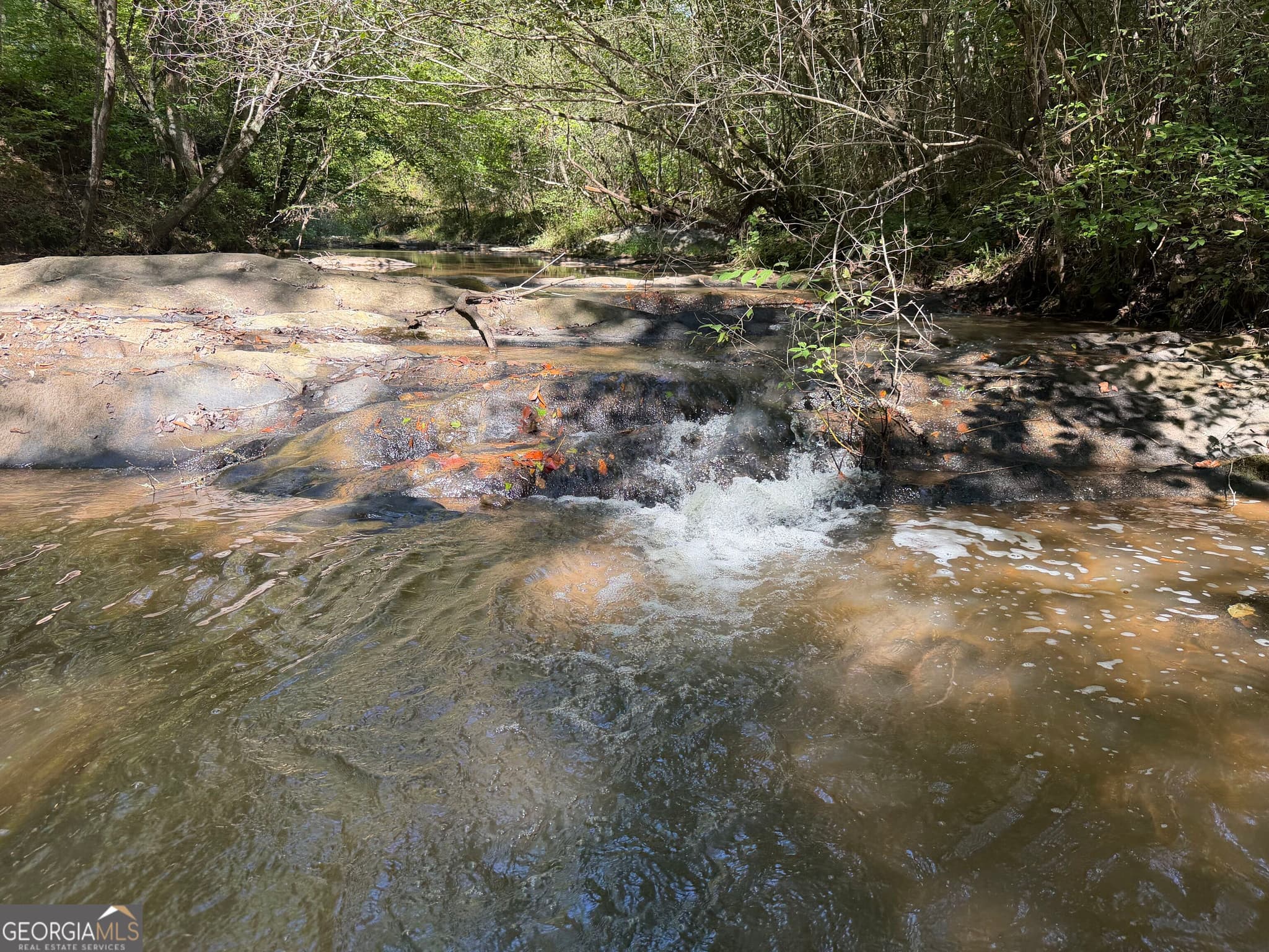 agriculture under contract at 0 Old Tennessee Road 3, Franklin, GA 30217 — photo 6