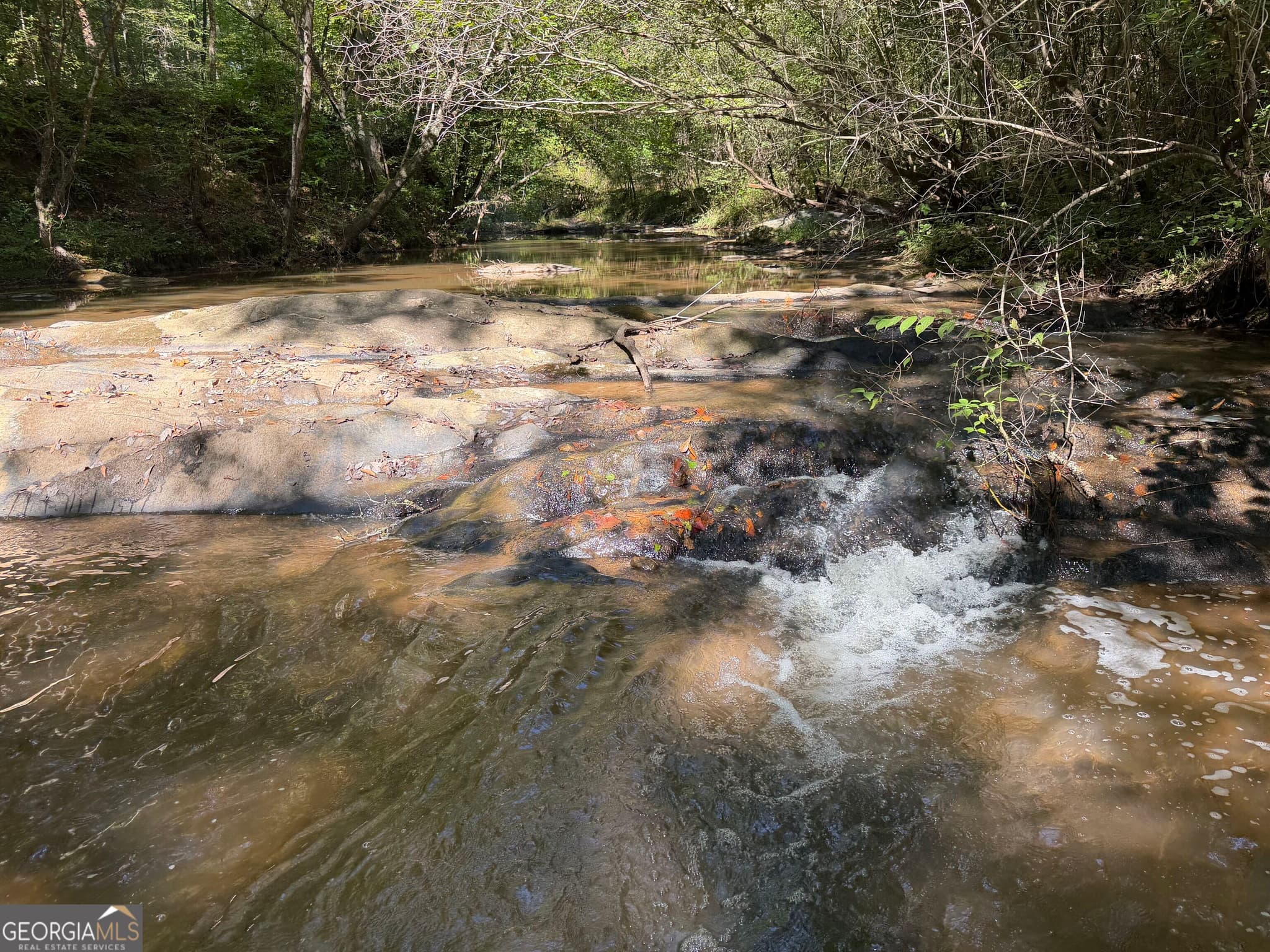 agriculture under contract at 0 Old Tennessee Road 3, Franklin, GA 30217 — photo 7