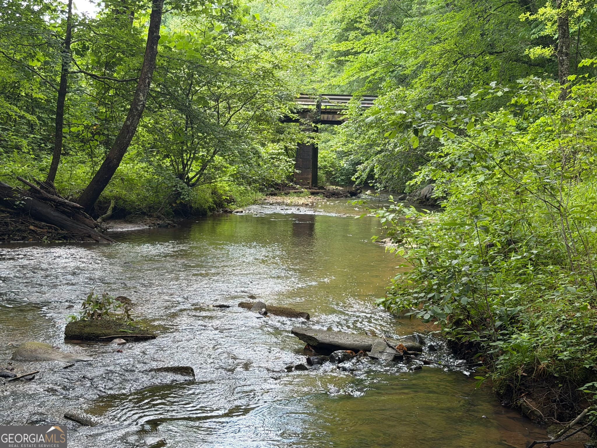 agriculture under contract at 0 Old Tennessee Road 3, Franklin, GA 30217 — photo 3
