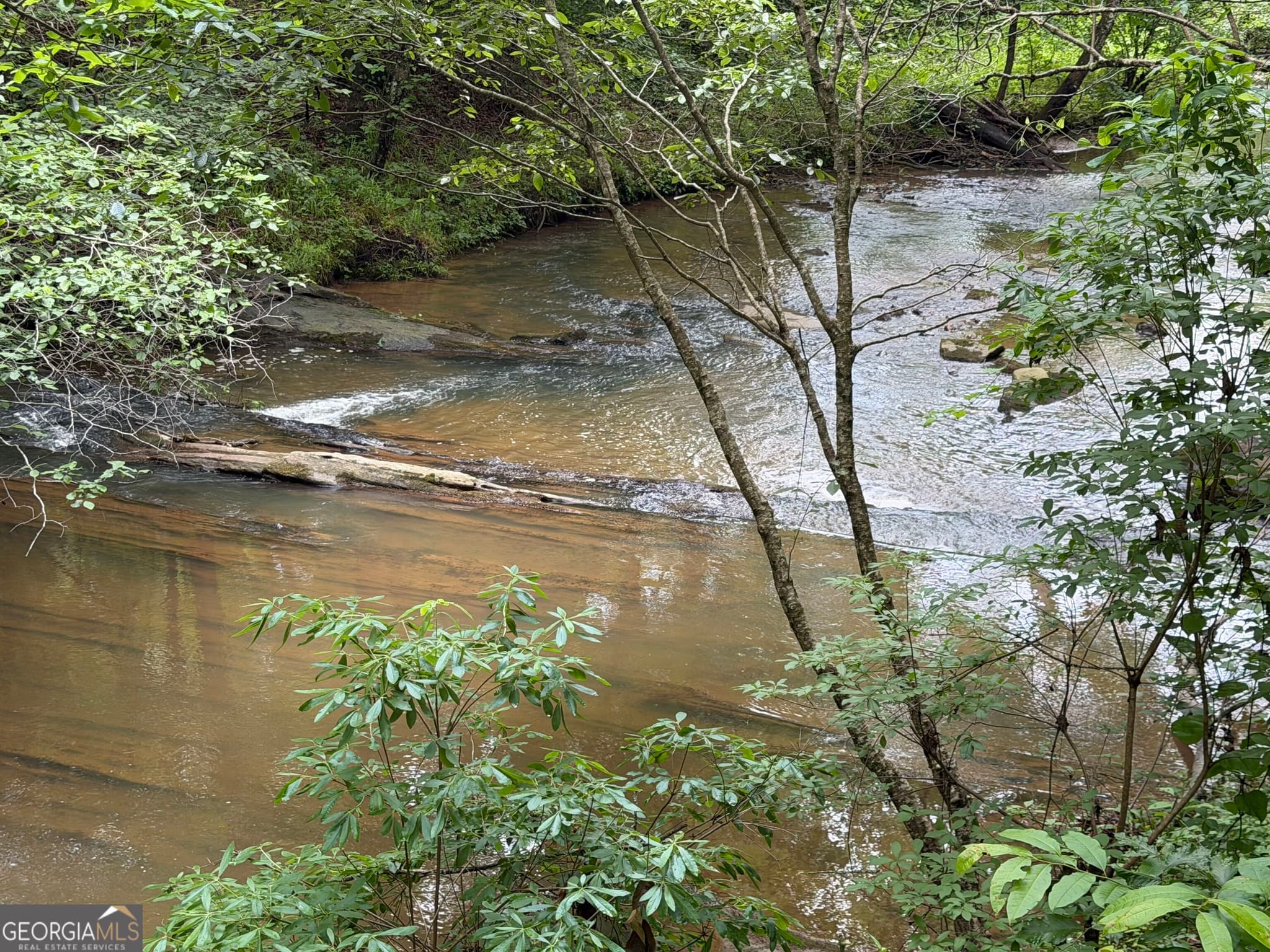 agriculture under contract at 0 Old Tennessee Road 3, Franklin, GA 30217 — photo 5