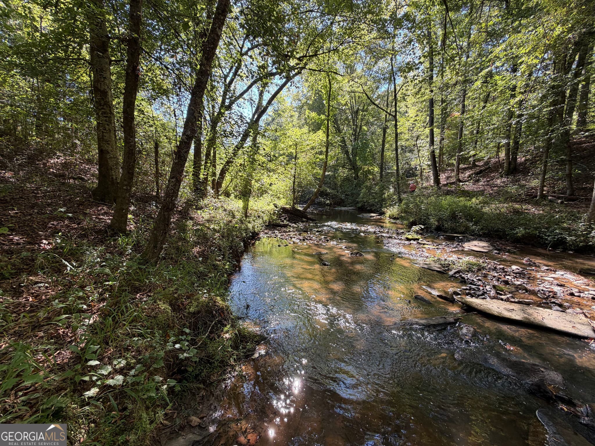 agriculture under contract at 0 Old Tennessee Road 3, Franklin, GA 30217 — photo 9