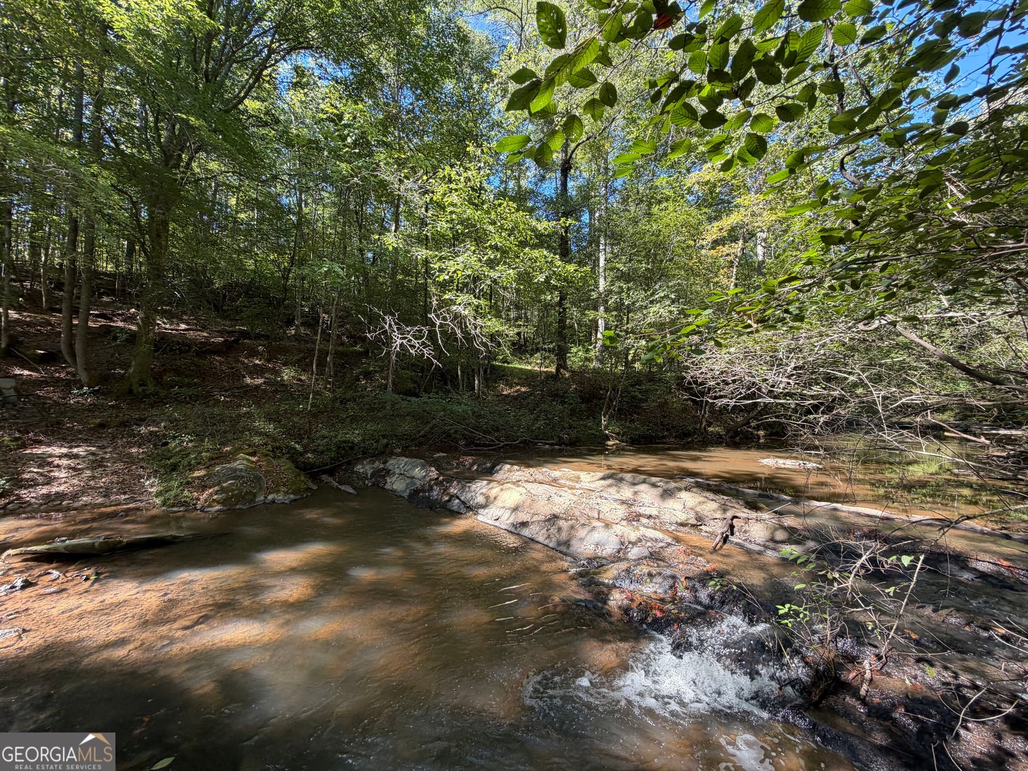 agriculture under contract at 0 Old Tennessee Road 3, Franklin, GA 30217 — photo 10
