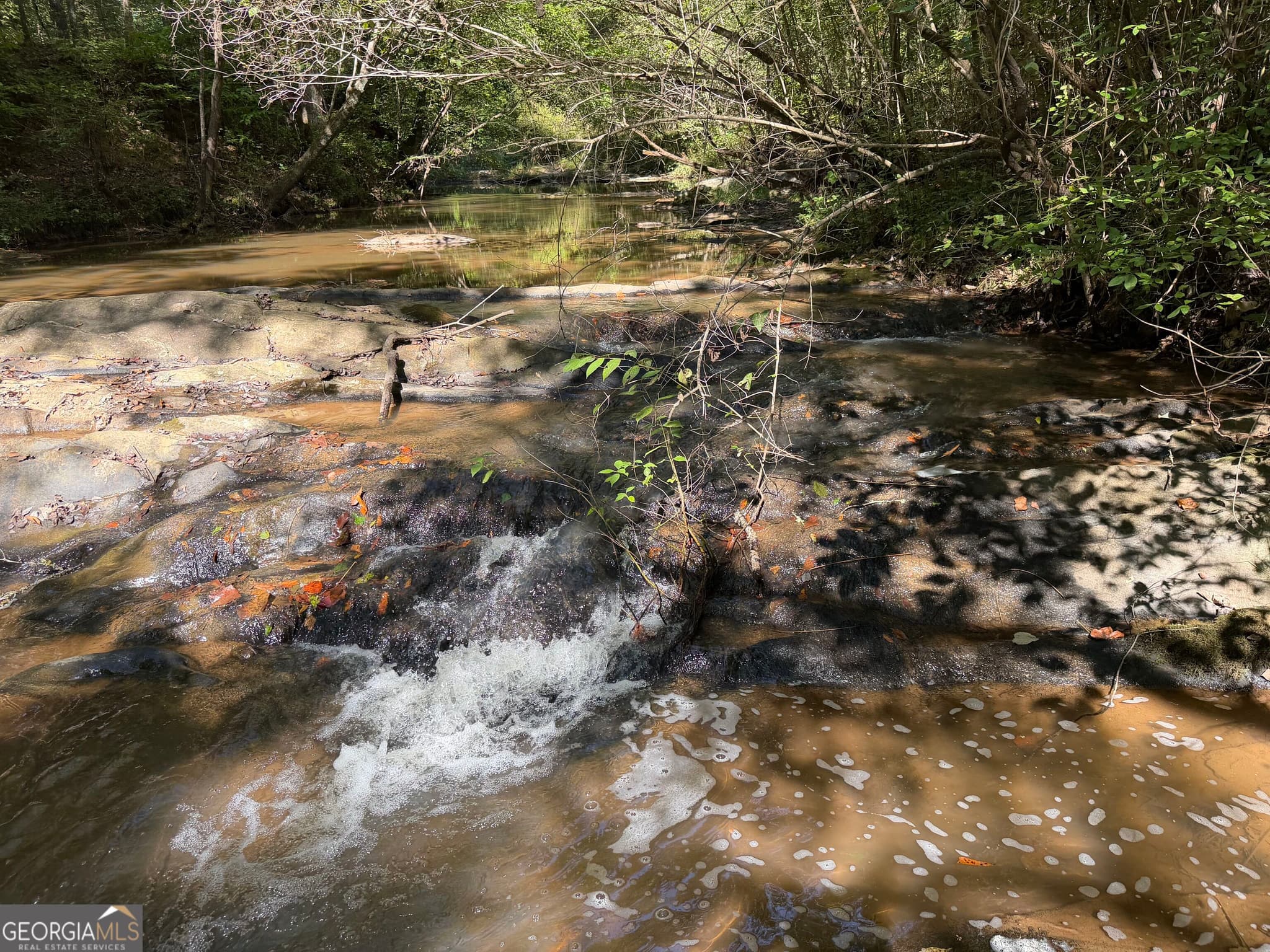 agriculture under contract at 0 Old Tennessee Road 3, Franklin, GA 30217 — photo 8