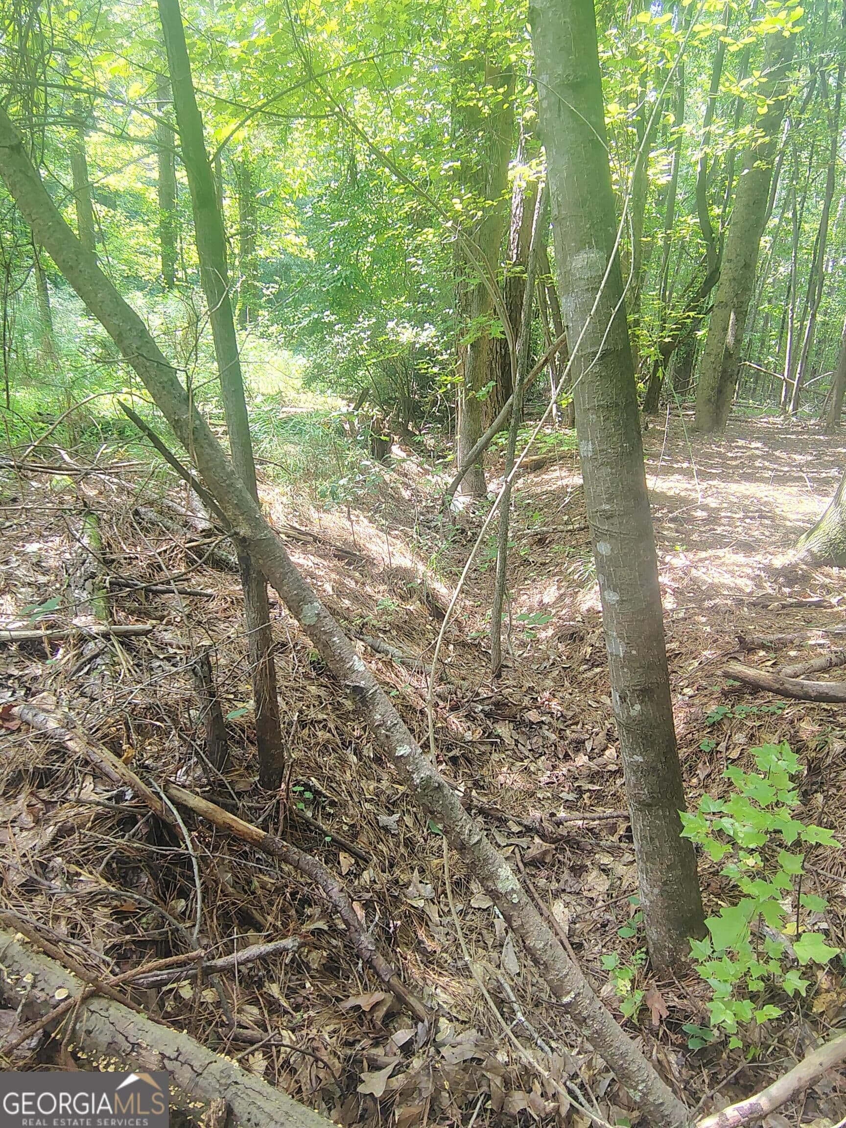 unimproved land for sale at 0 Charles Street, Union City, GA 30291 — photo 6
