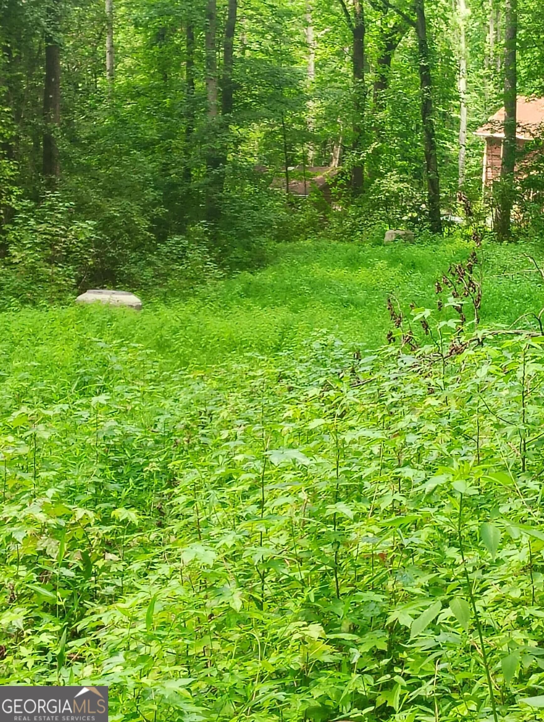 unimproved land for sale at 0 Charles Street, Union City, GA 30291 — photo 7