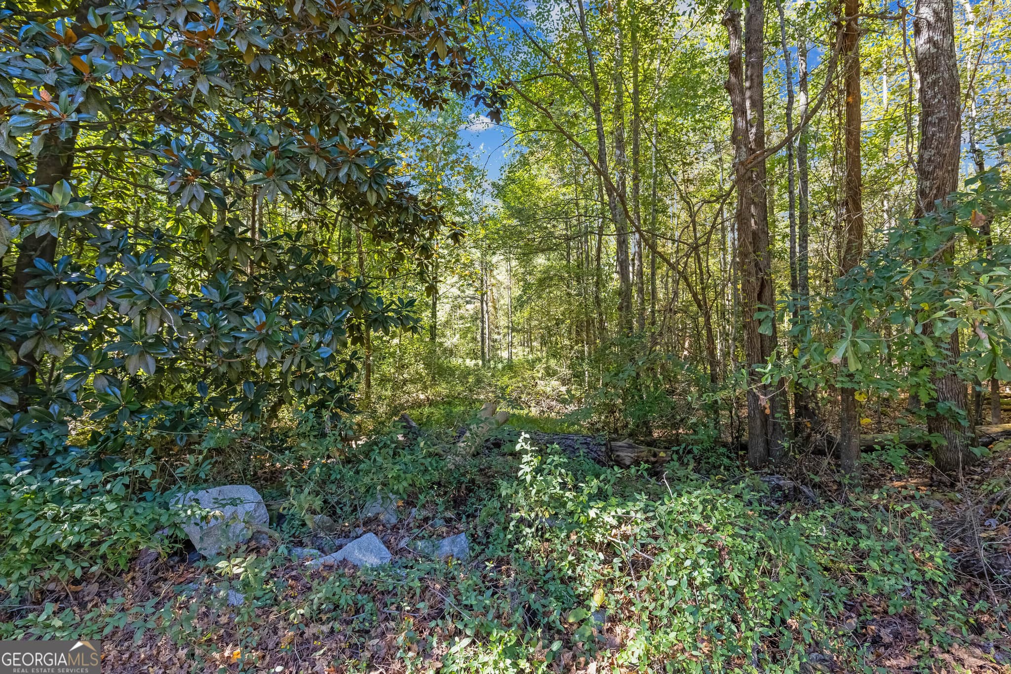 unimproved land for sale at 0 Charles Street, Union City, GA 30291 — photo 3