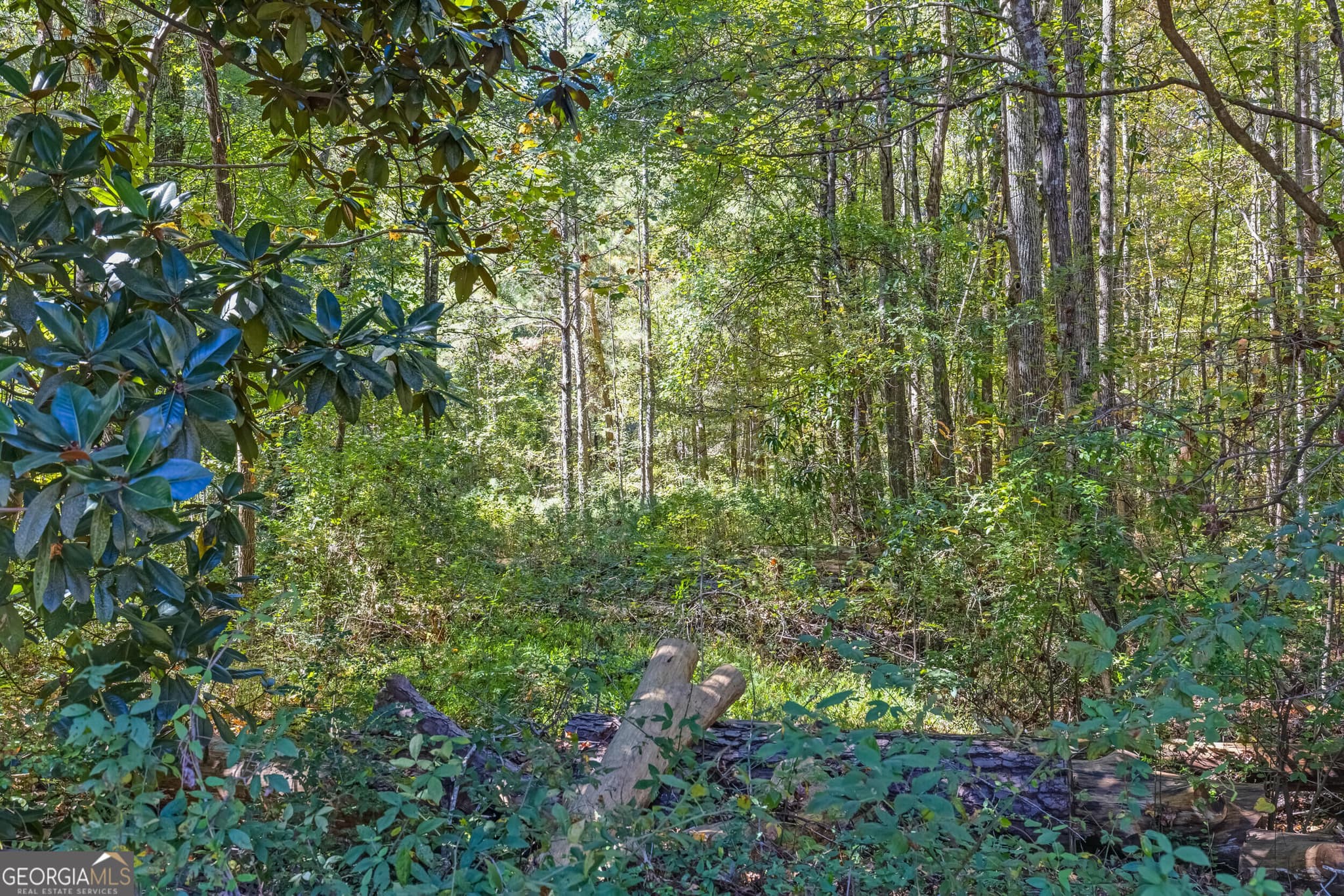 unimproved land for sale at 0 Charles Street, Union City, GA 30291 — photo 5