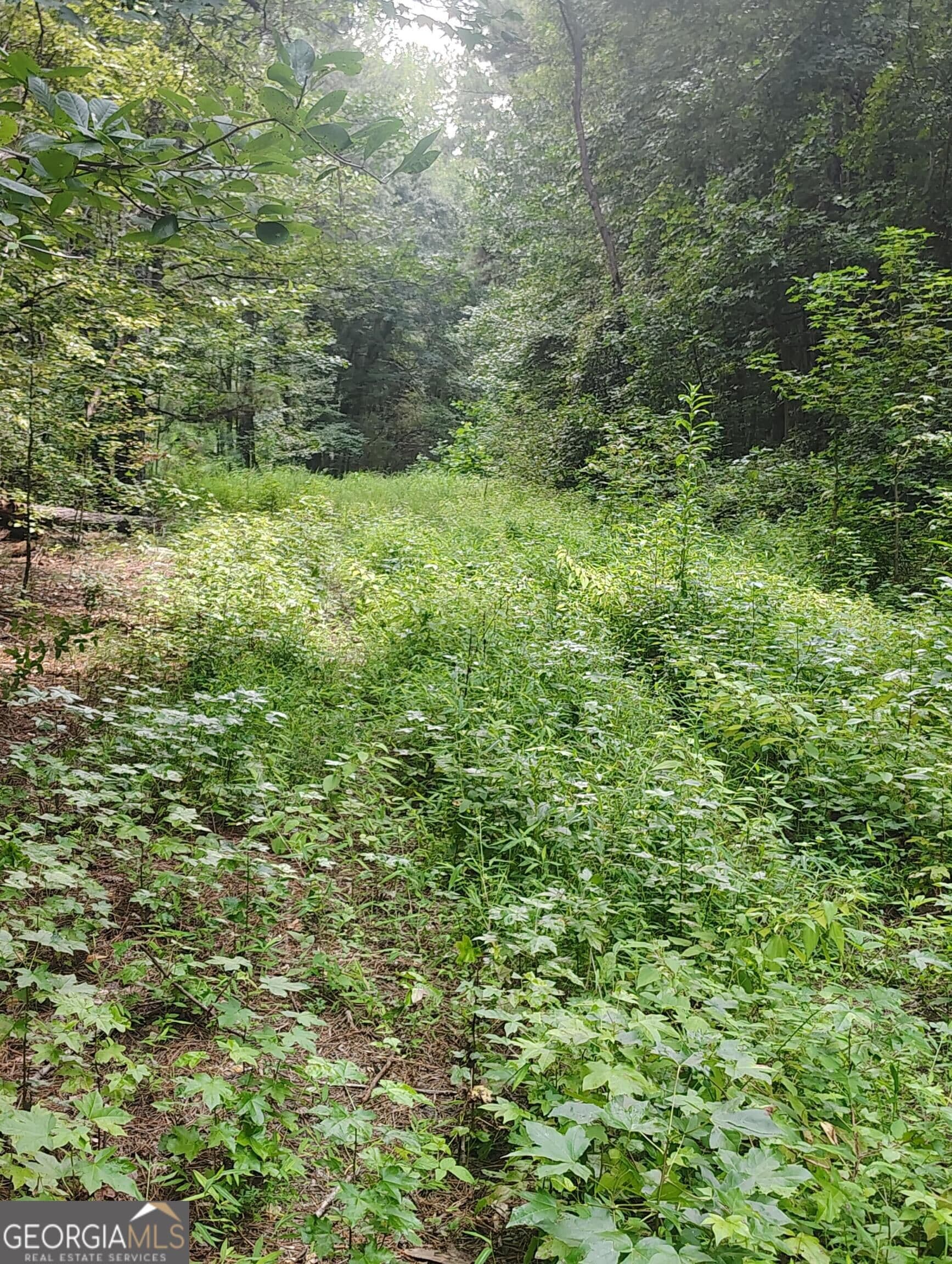 unimproved land for sale at 0 Charles Street, Union City, GA 30291 — photo 9