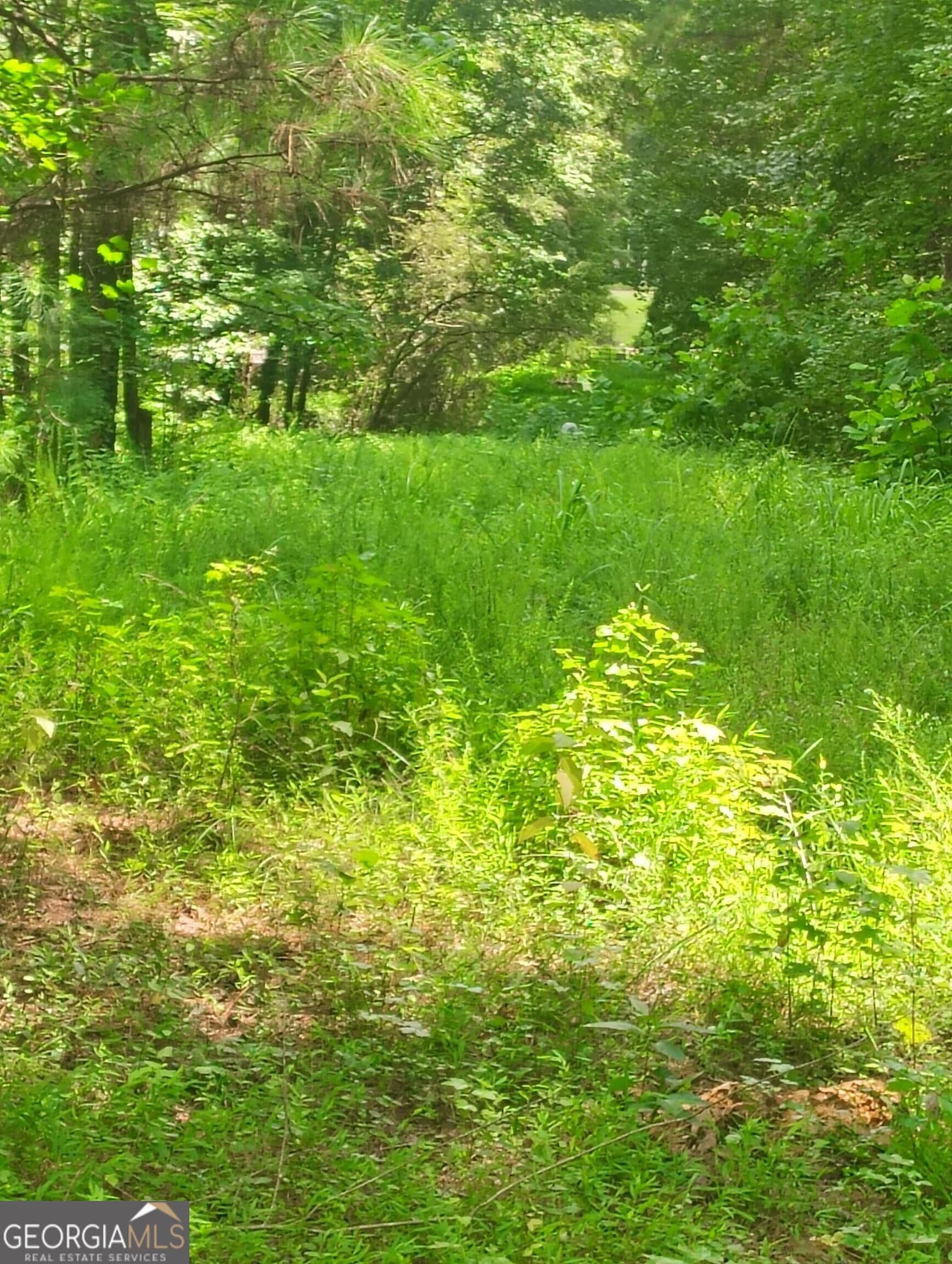 unimproved land for sale at 0 Charles Street, Union City, GA 30291 — photo 10