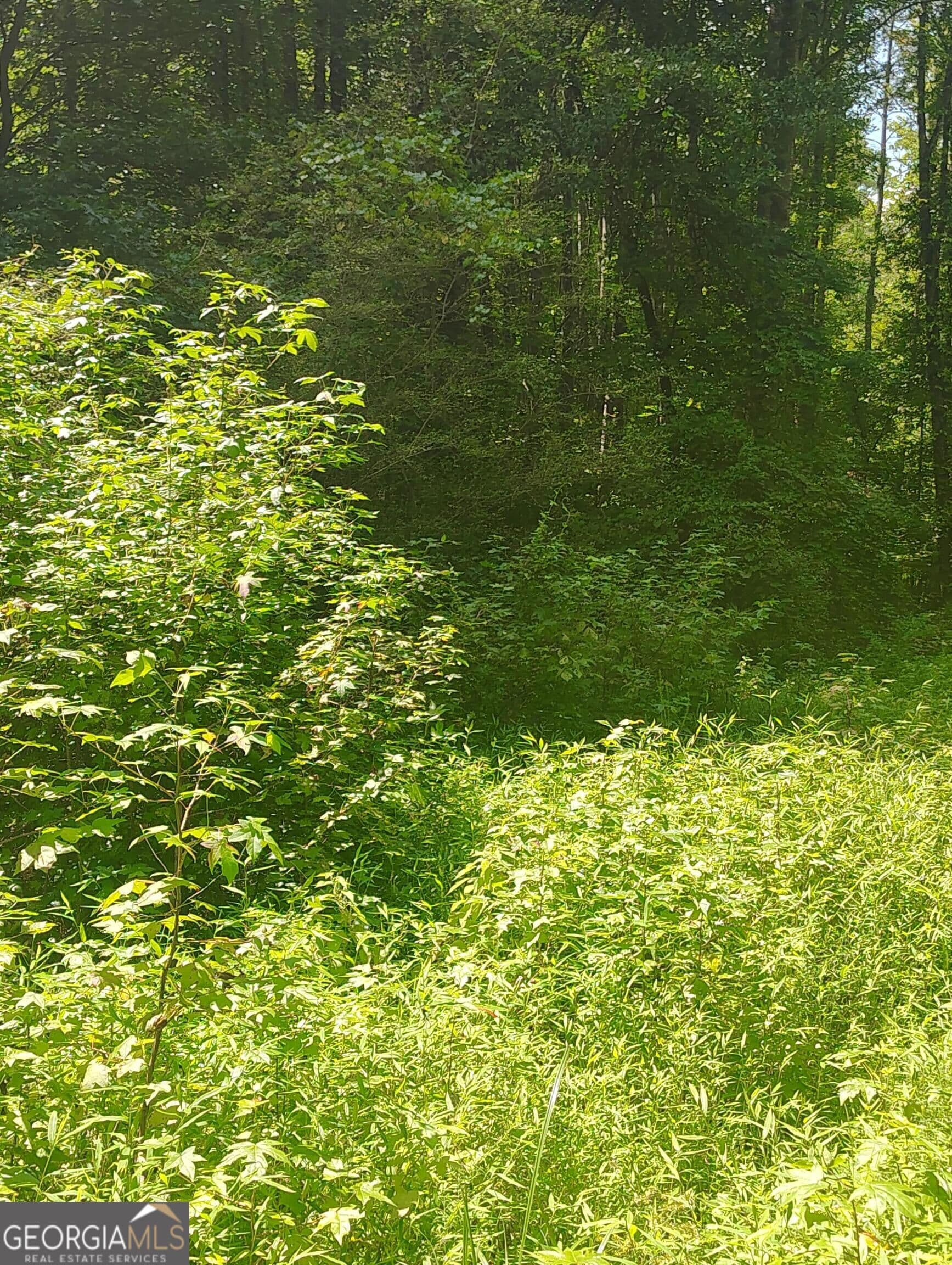 unimproved land for sale at 0 Charles Street, Union City, GA 30291 — photo 8