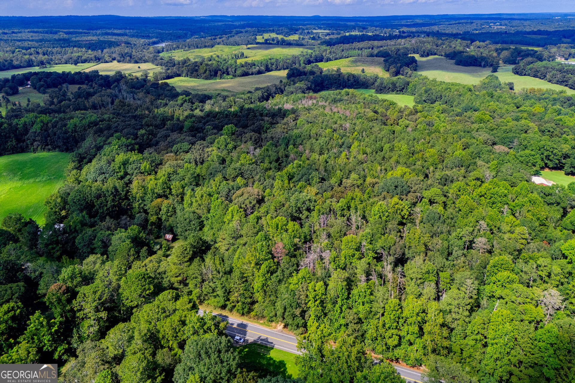 agriculture for sale at TRACT 1 W Hwy 166, Bowdon, GA 30108 — photo 2