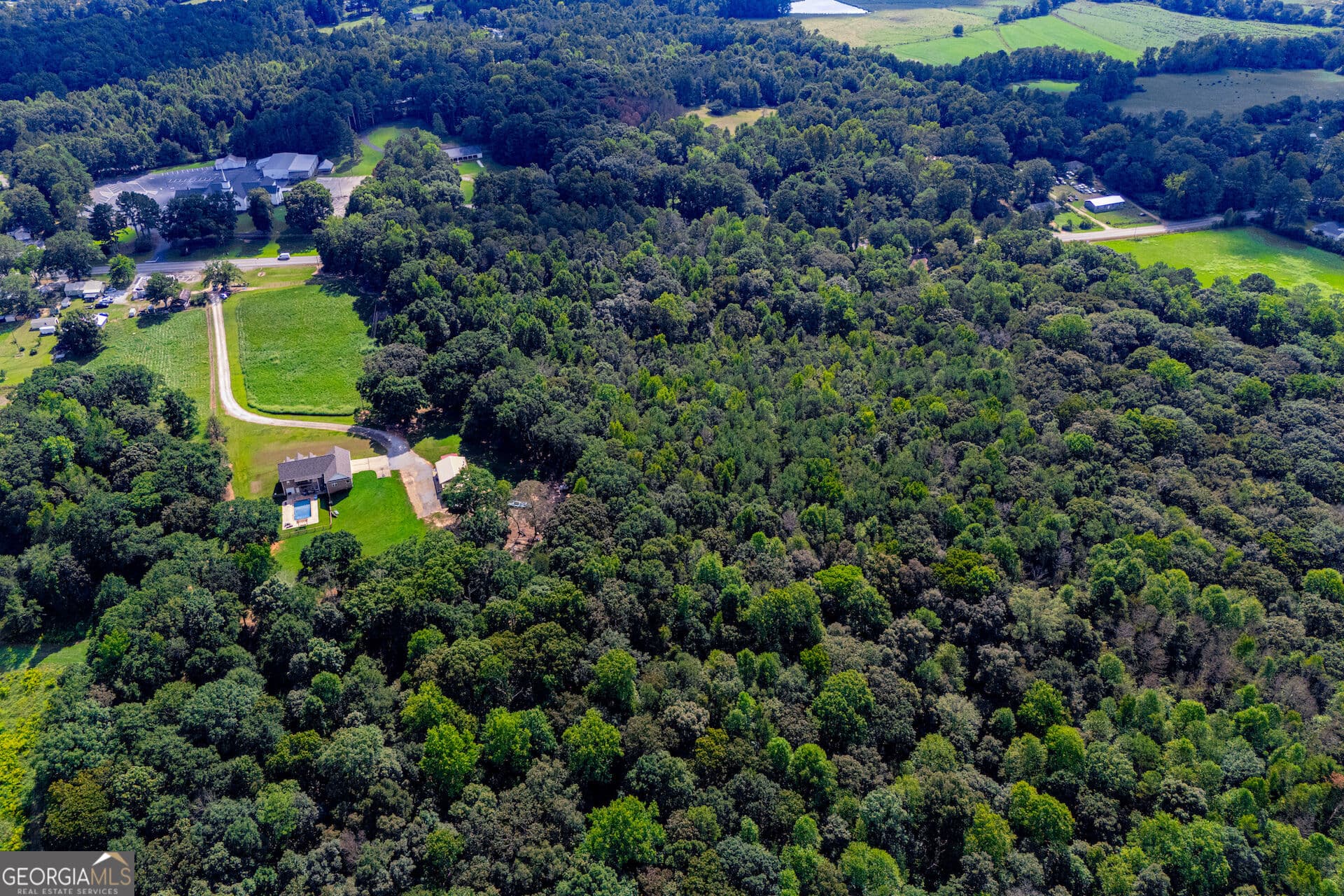 agriculture for sale at TRACT 1 W Hwy 166, Bowdon, GA 30108 — photo 6