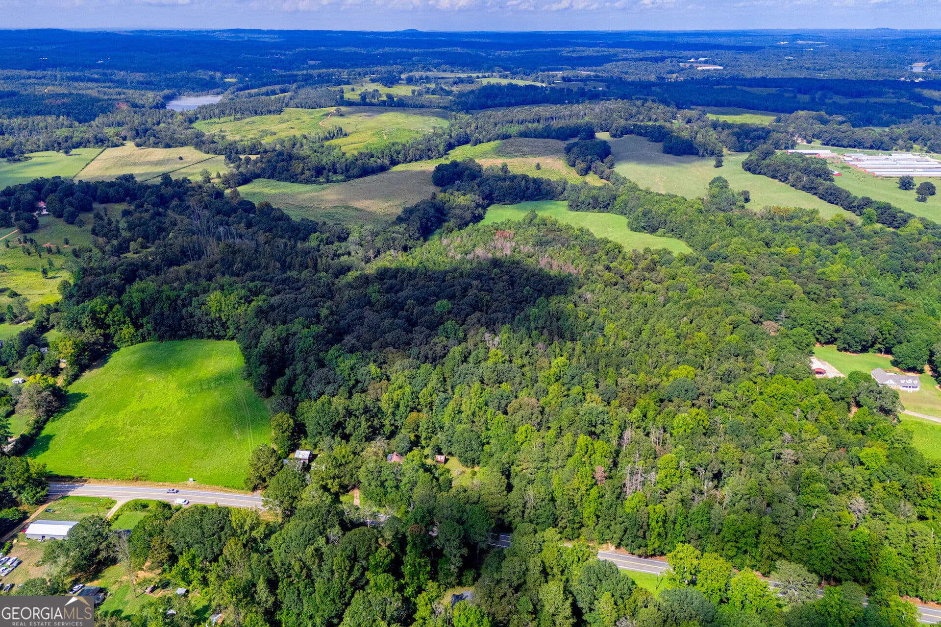 agriculture for sale at TRACT 1 W Hwy 166, Bowdon, GA 30108 — photo 3