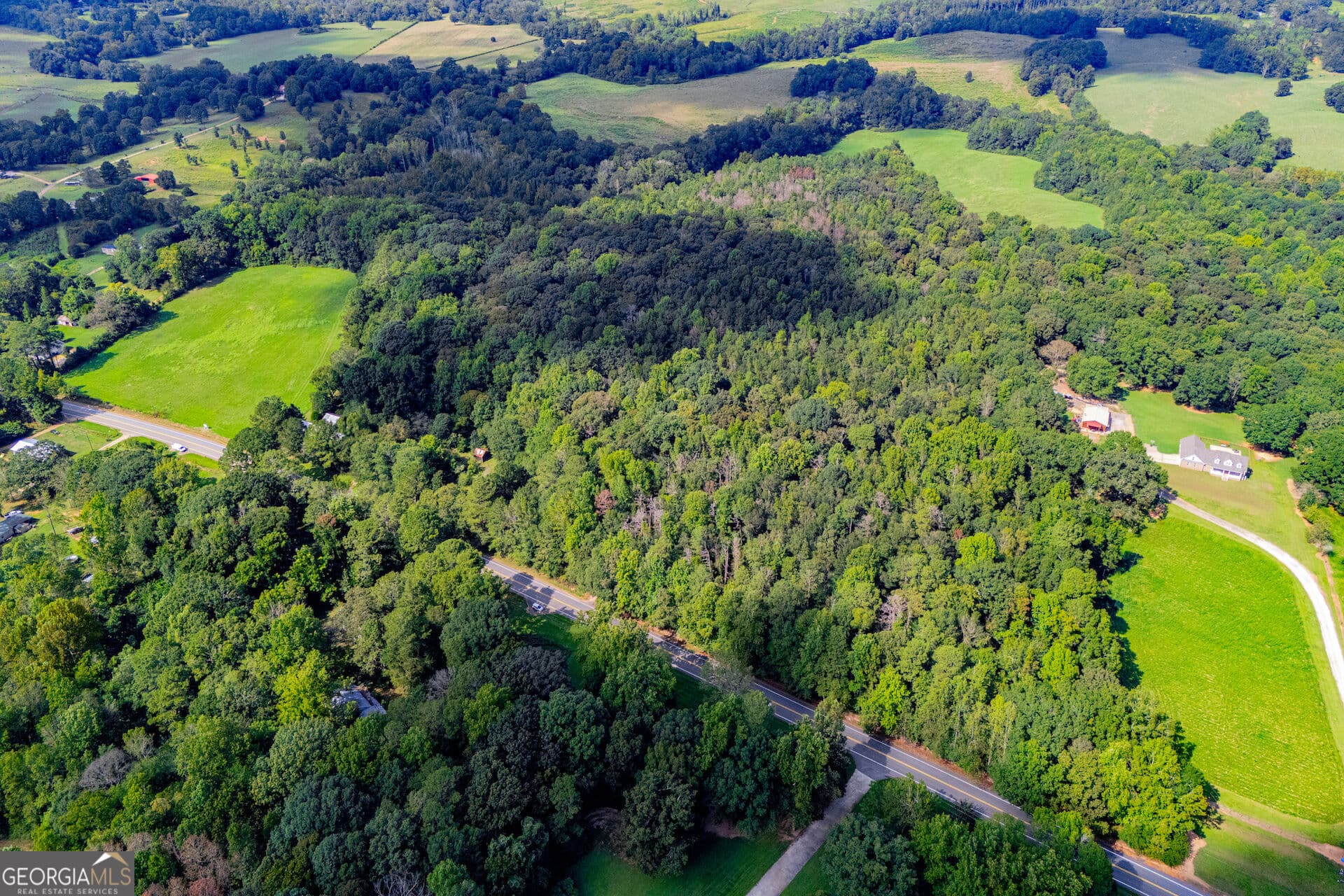 agriculture for sale at TRACT 1 W Hwy 166, Bowdon, GA 30108 — photo 5