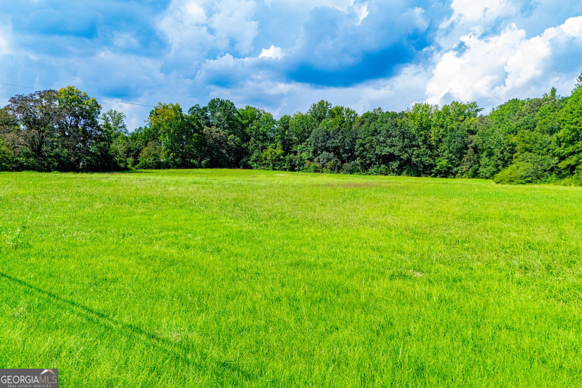 agriculture for sale at TRACT 1 W Hwy 166, Bowdon, GA 30108 — photo 9
