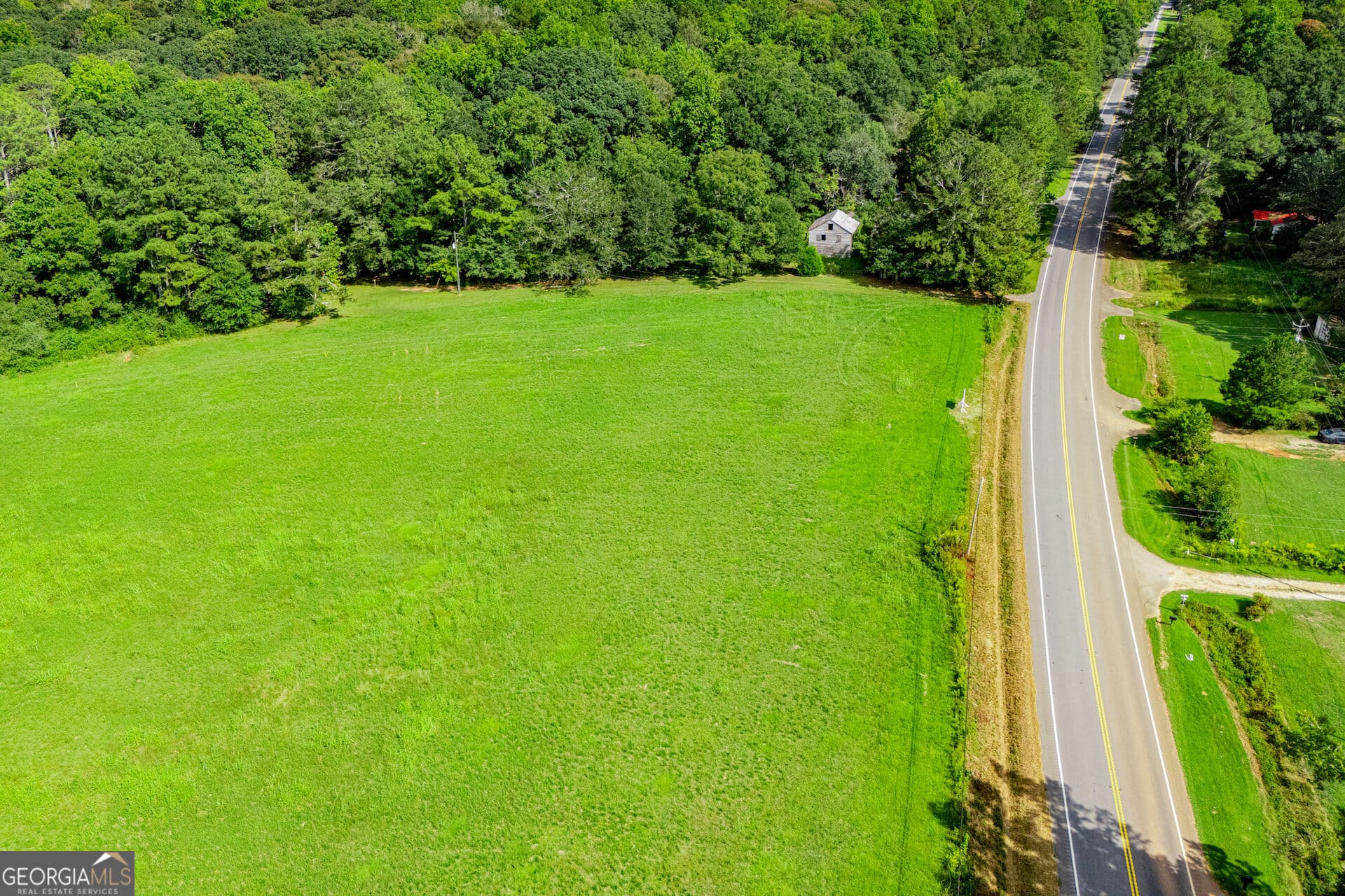 agriculture for sale at TRACT 1 W Hwy 166, Bowdon, GA 30108 — photo 10