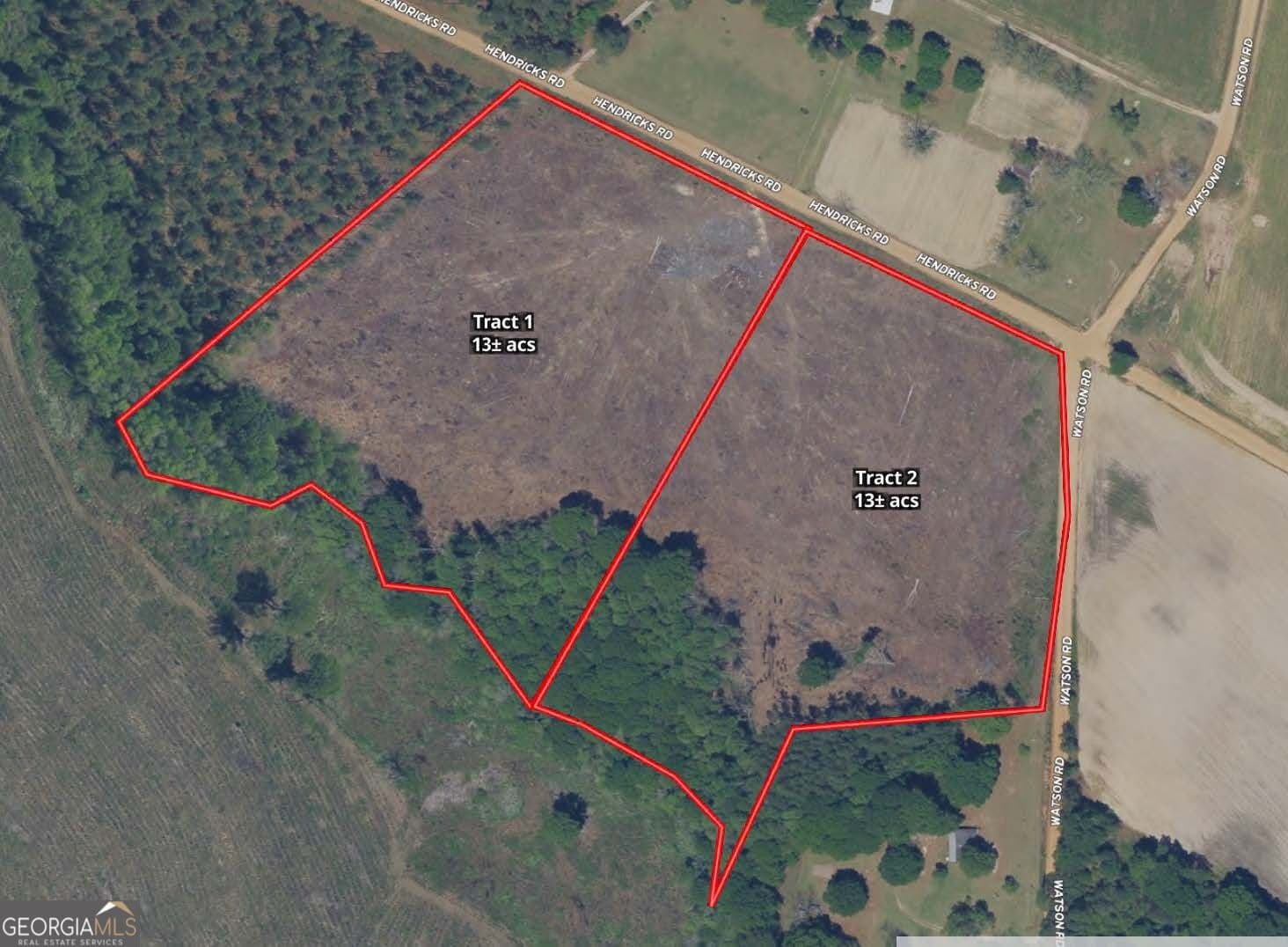 agriculture for sale at 0 Watson & Hendricks Roads TRACT 1, Metter, GA 30439 — photo 2