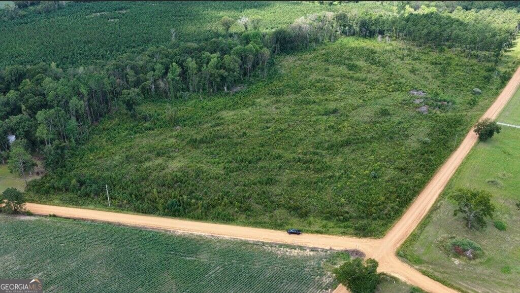 agriculture for sale at 0 Watson & Hendricks Roads TRACT 1, Metter, GA 30439 — photo 3