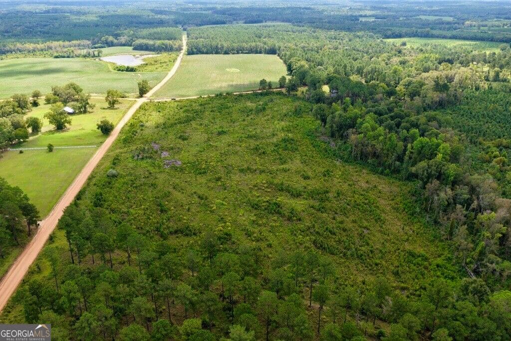 agriculture for sale at 0 Watson & Hendricks Roads TRACT 1, Metter, GA 30439 — photo 5