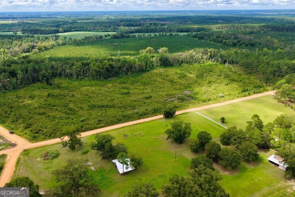 agriculture for sale at 0 Watson & Hendricks Roads TRACT 1, Metter, GA 30439 — photo 4